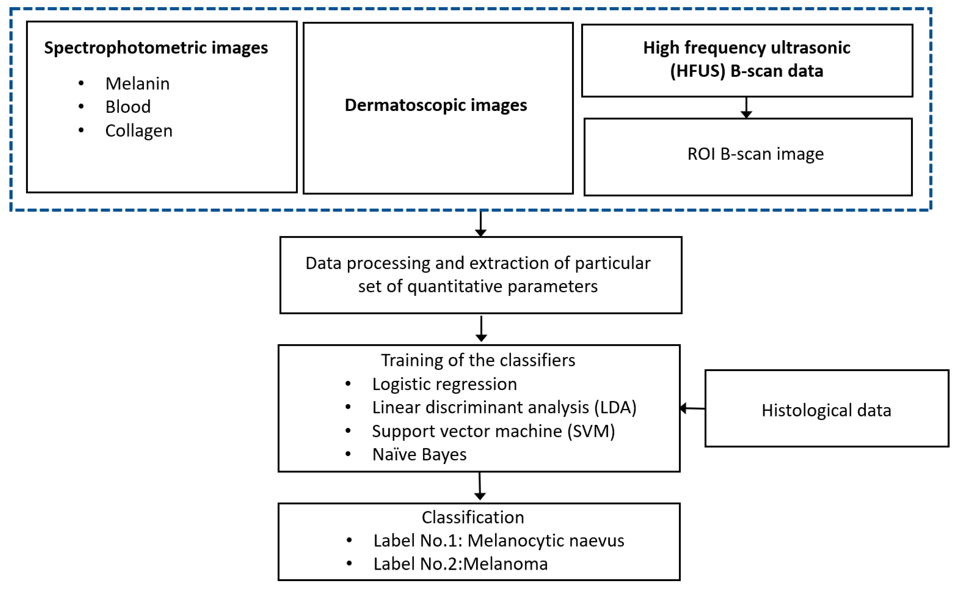 Diagnostics 10 00632 g001