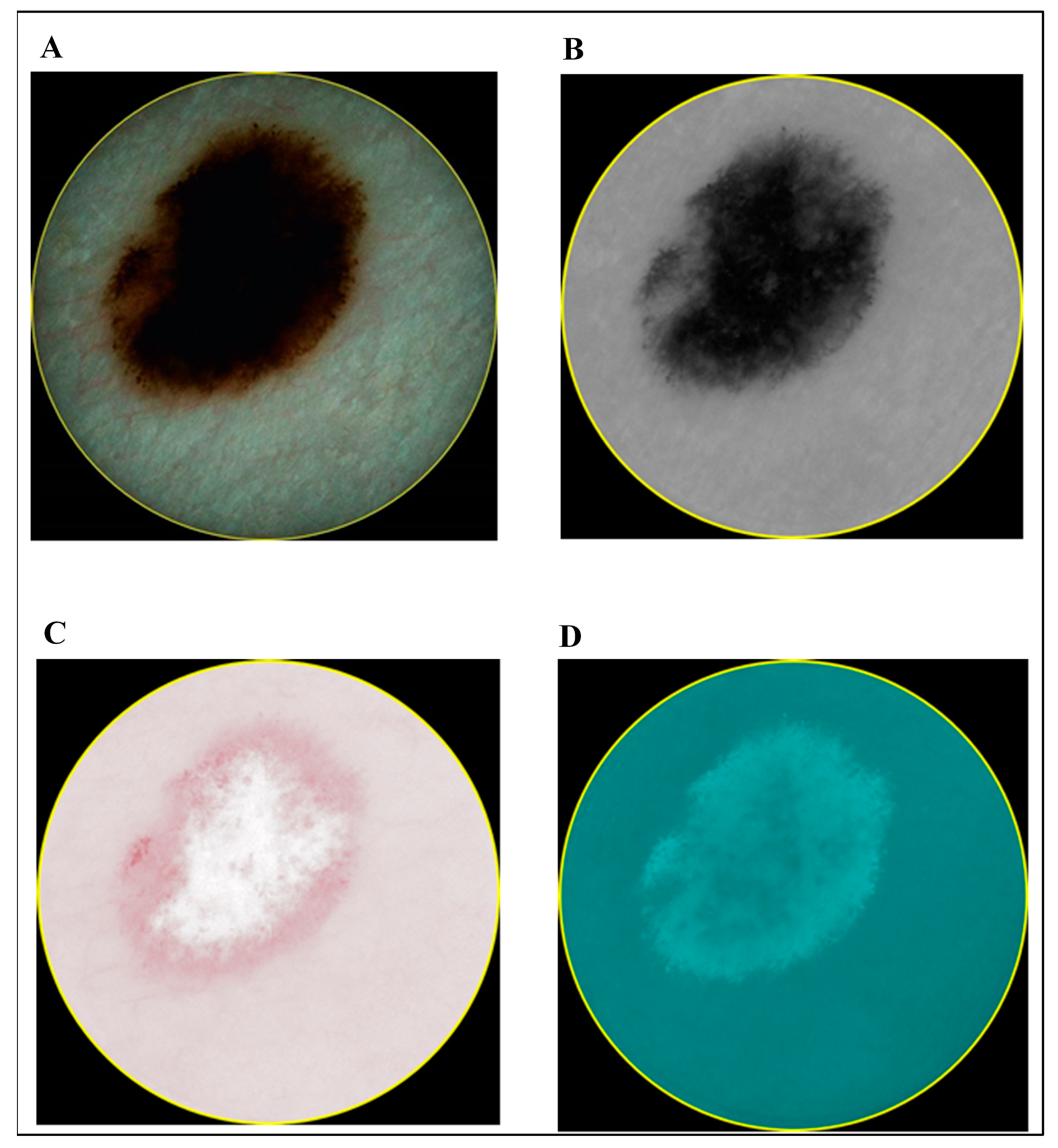 Diagnostics 10 00632 g003