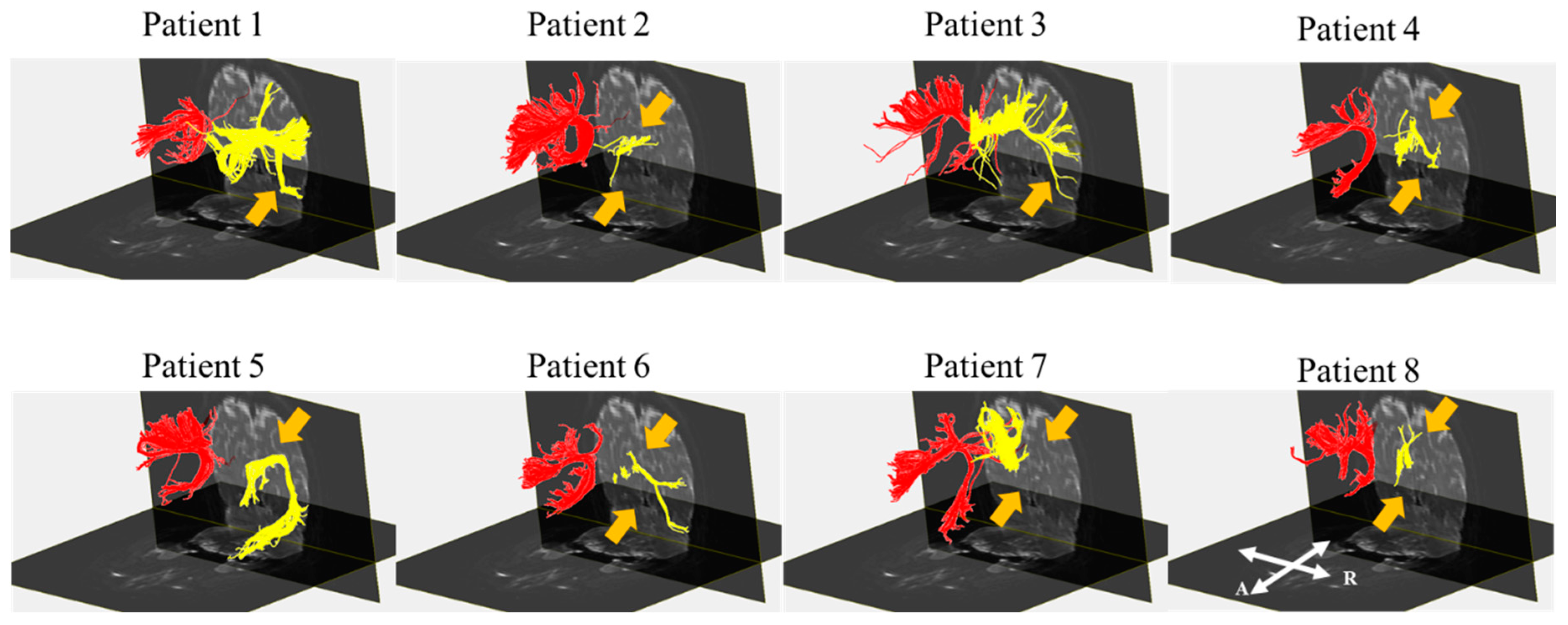 Diagnostics 10 00641 g003