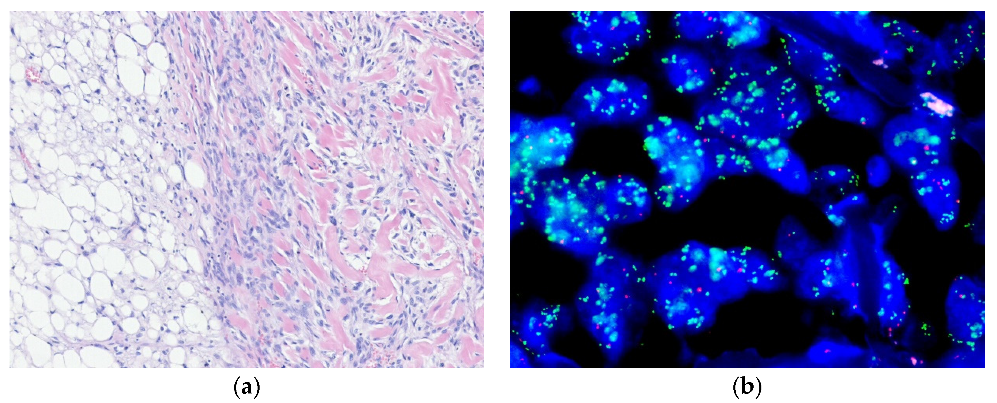 Diagnostics 10 00642 g002