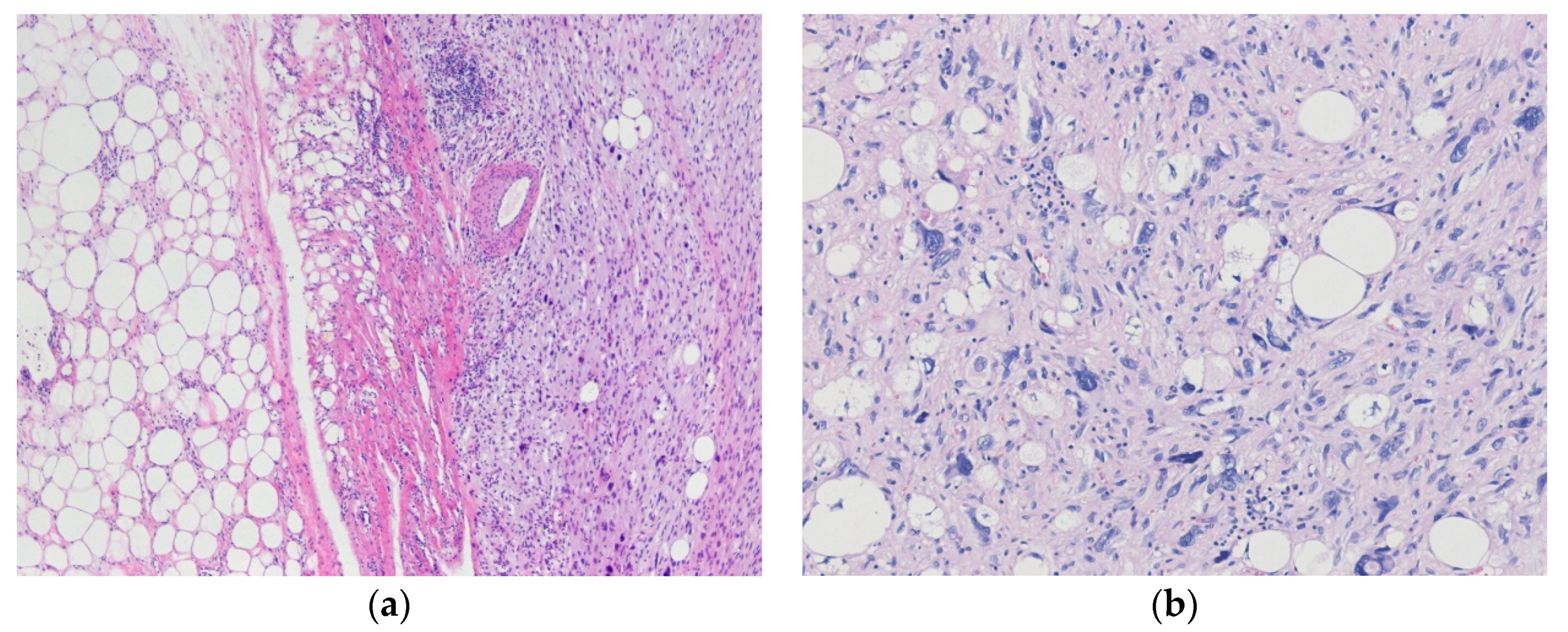 Diagnostics 10 00642 g003