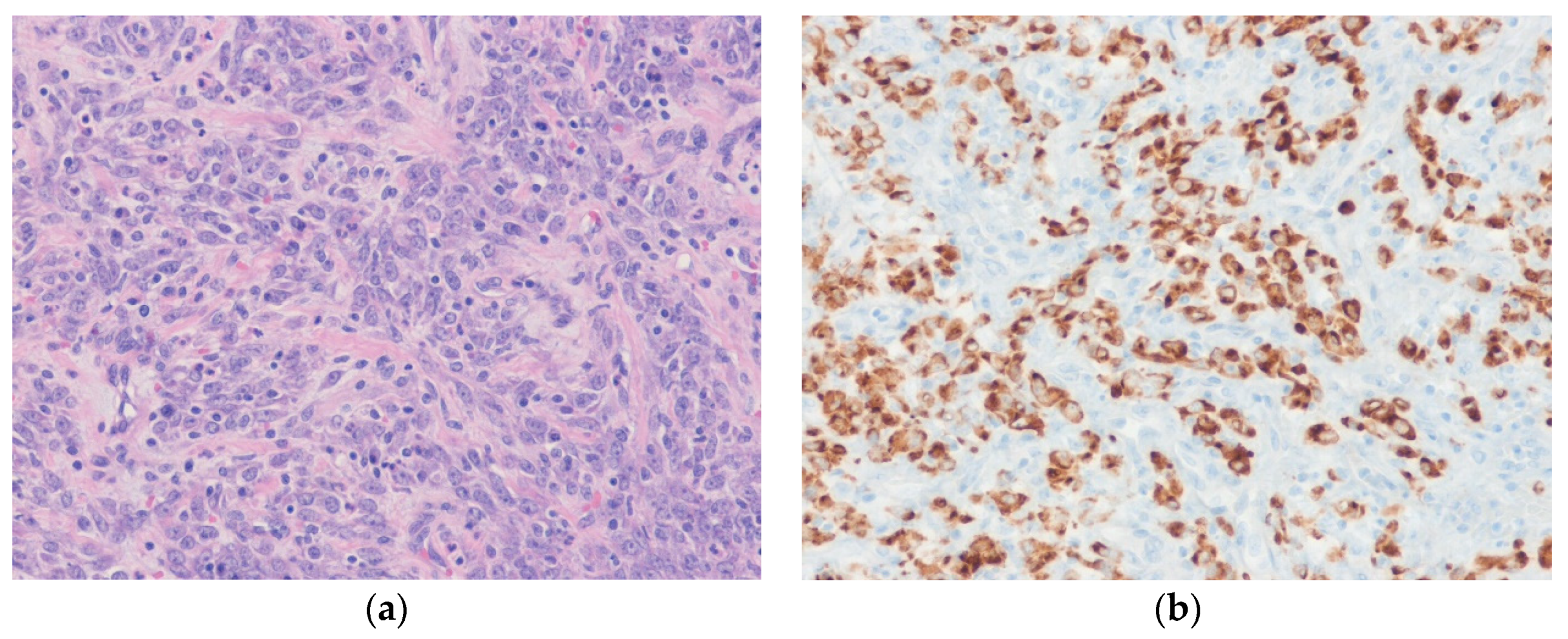 Diagnostics 10 00642 g006