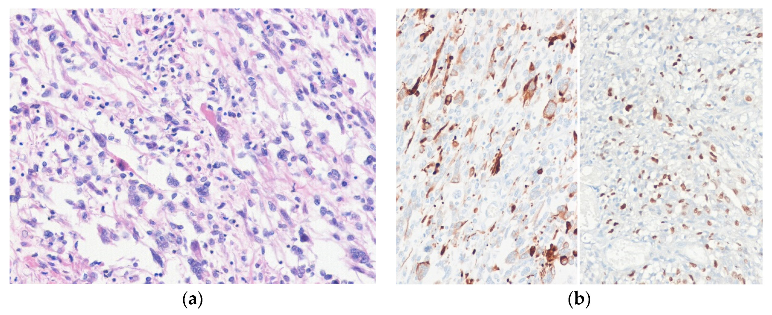 Diagnostics 10 00642 g007