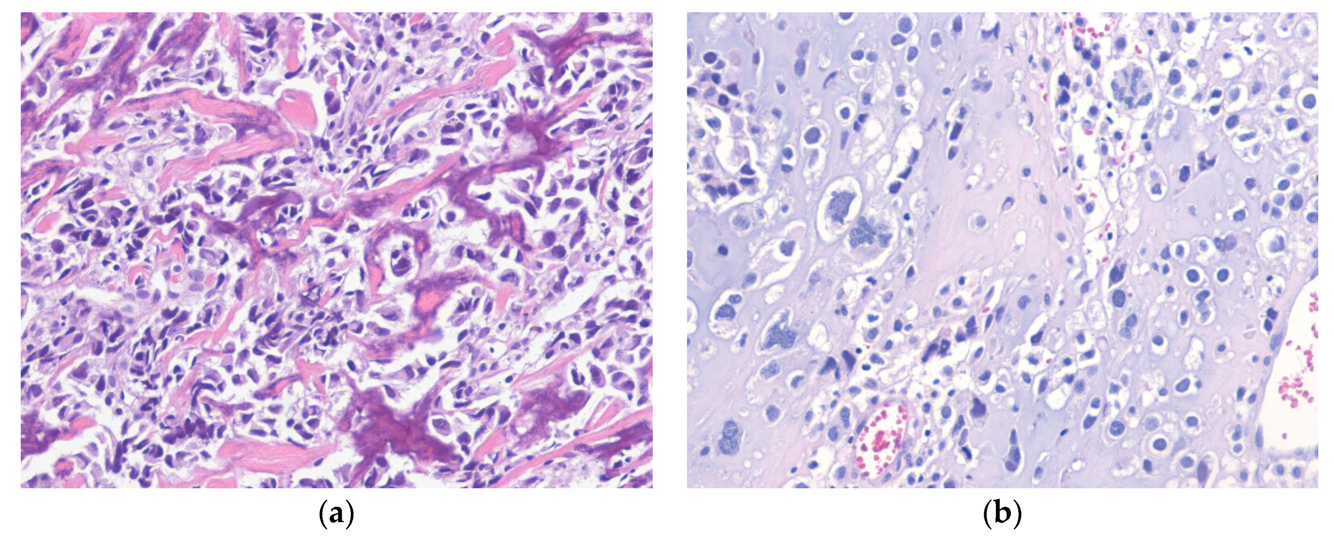 Diagnostics 10 00642 g009