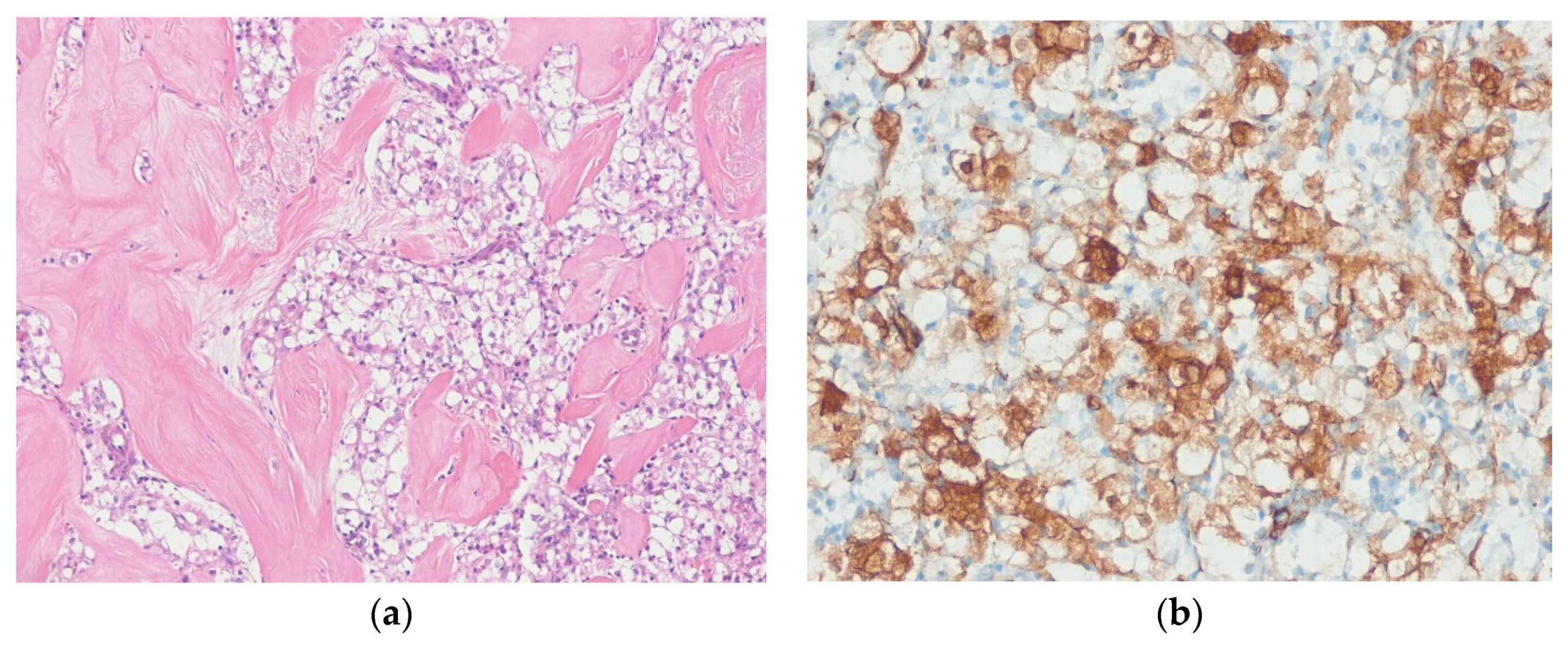 Diagnostics 10 00642 g012