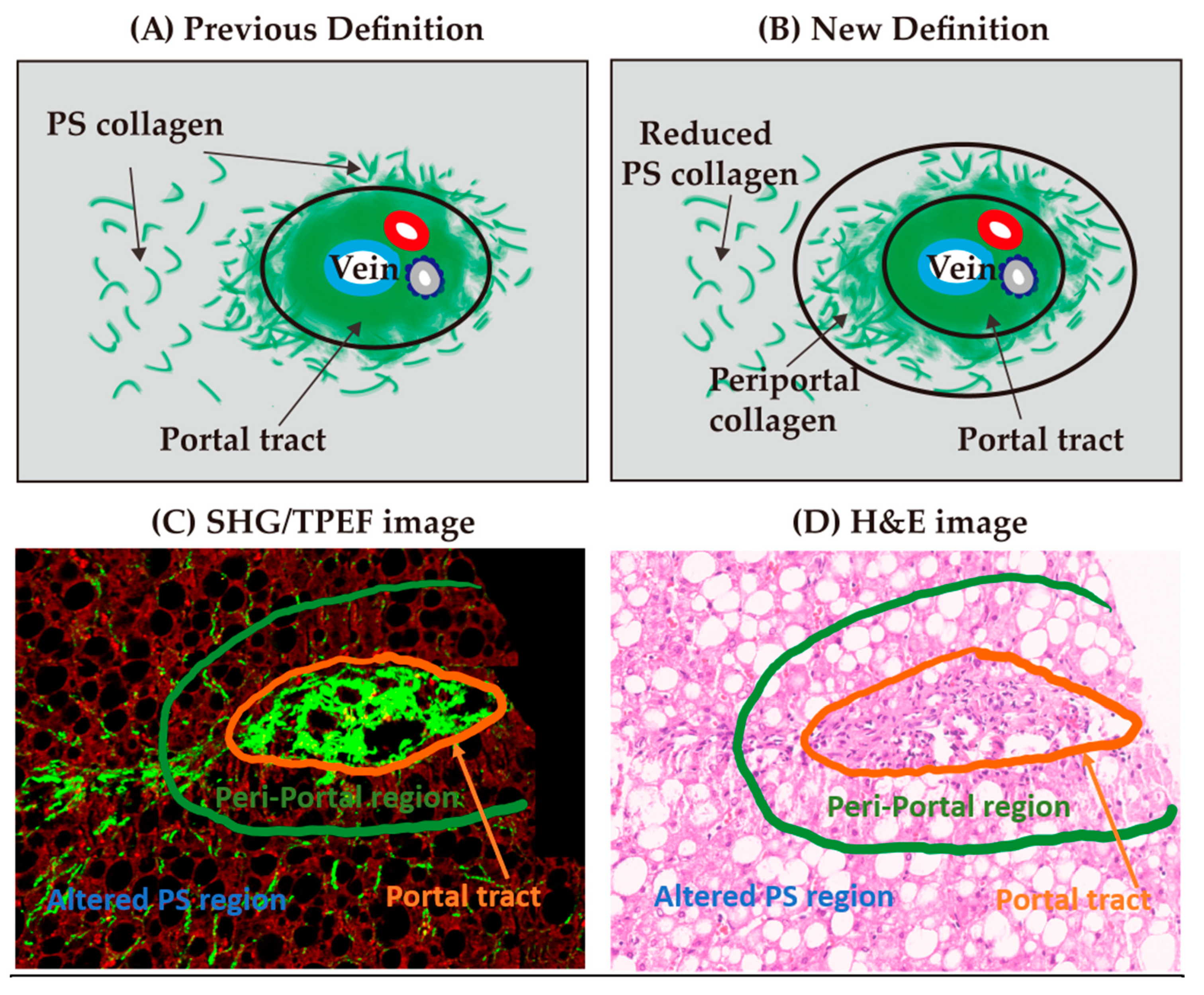 Diagnostics 10 00643 g001