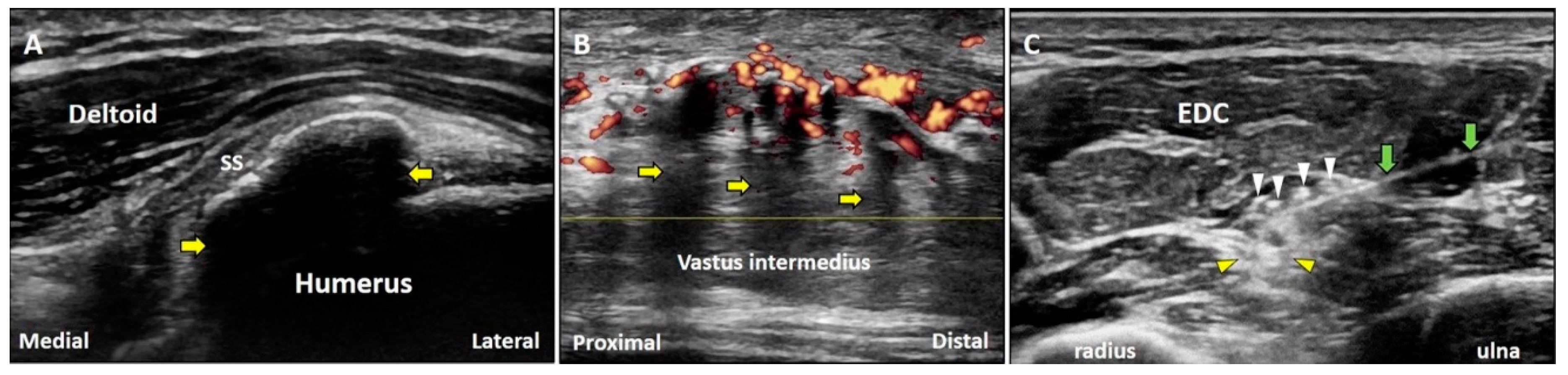 Diagnostics 10 00645 g006 Diagnostics 10 00645 g006
