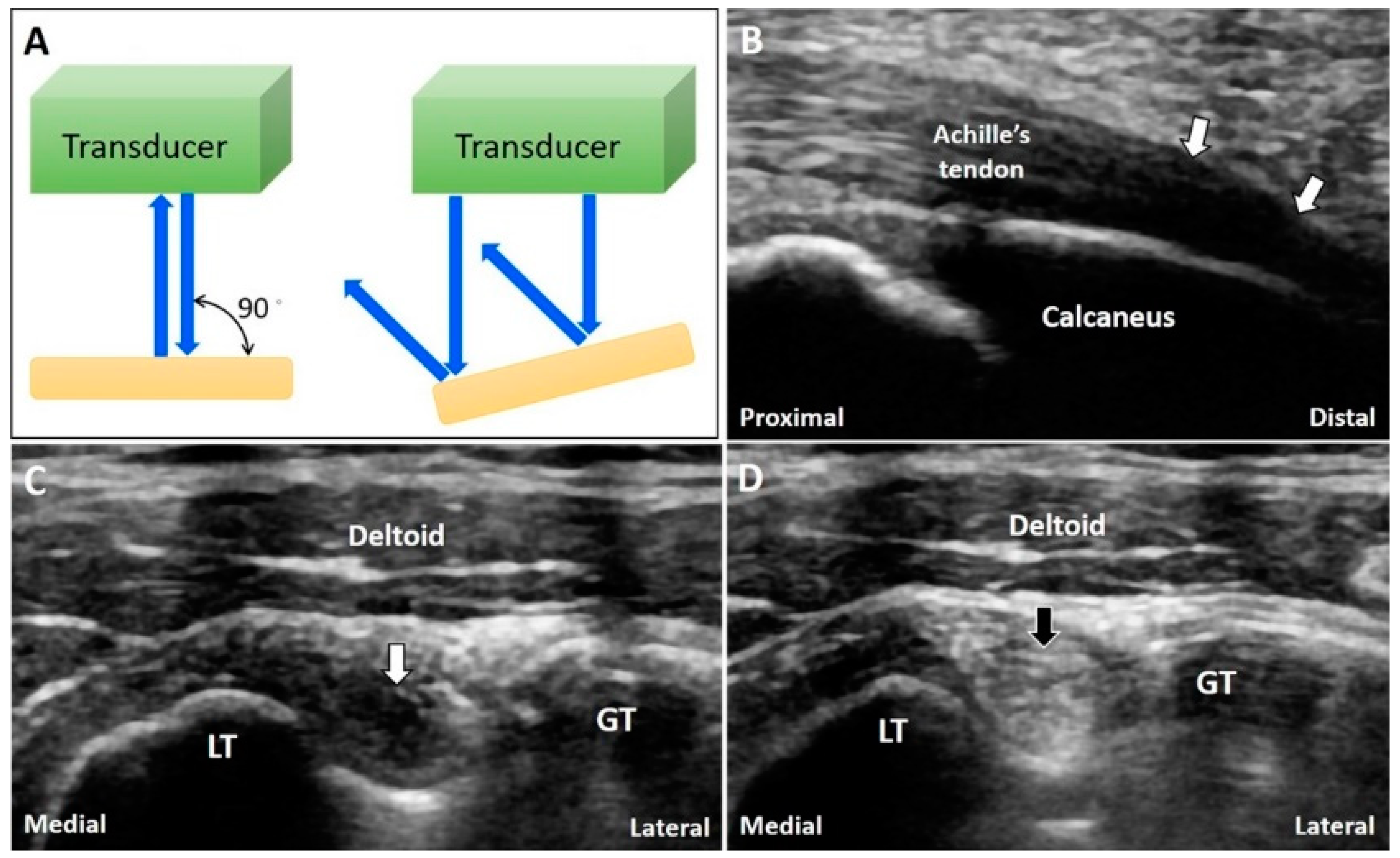 Diagnostics 10 00645 g010 Diagnostics 10 00645 g010