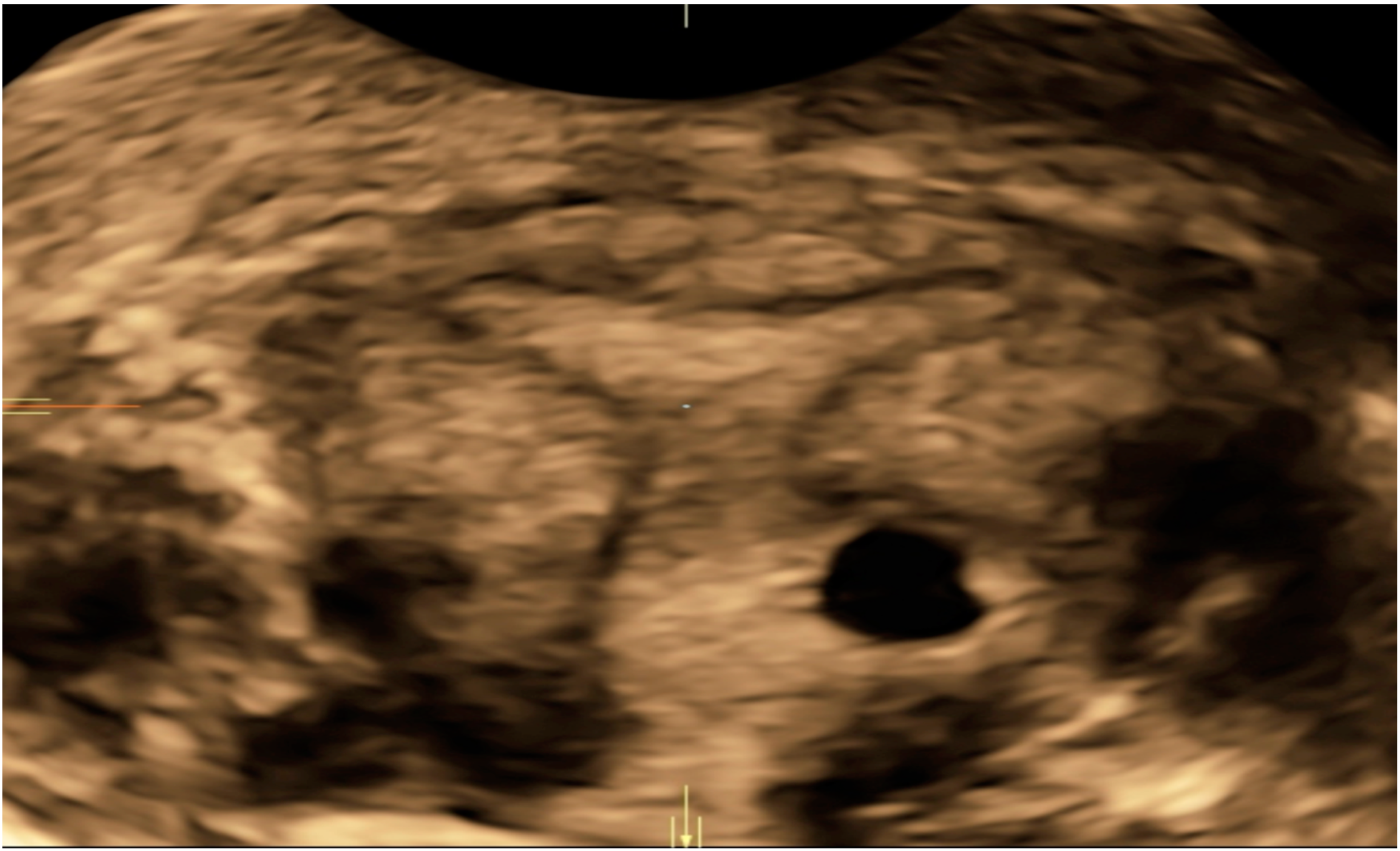 Diagnostics 10 00652 g002