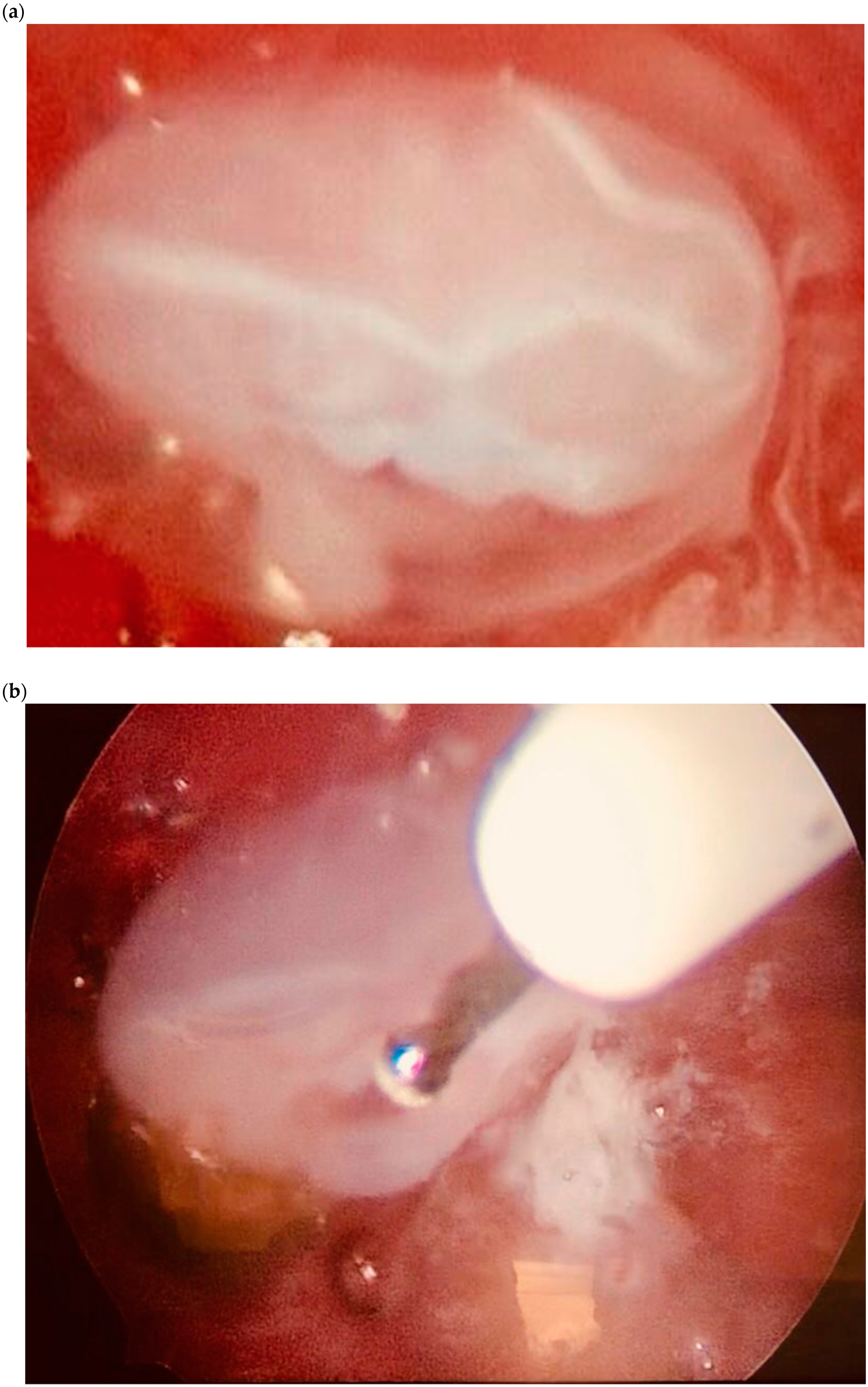 Diagnostics 10 00652 g006a