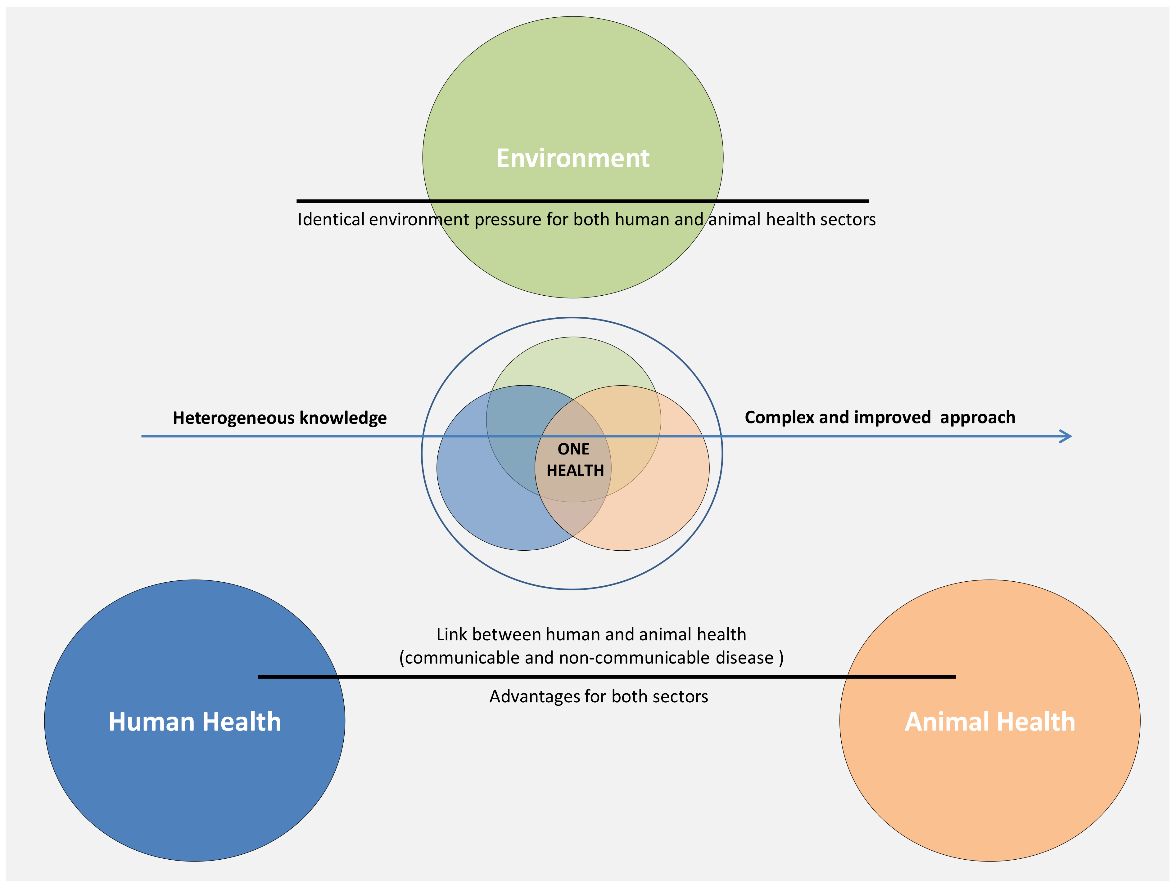 Diagnostics 10 00660 g004