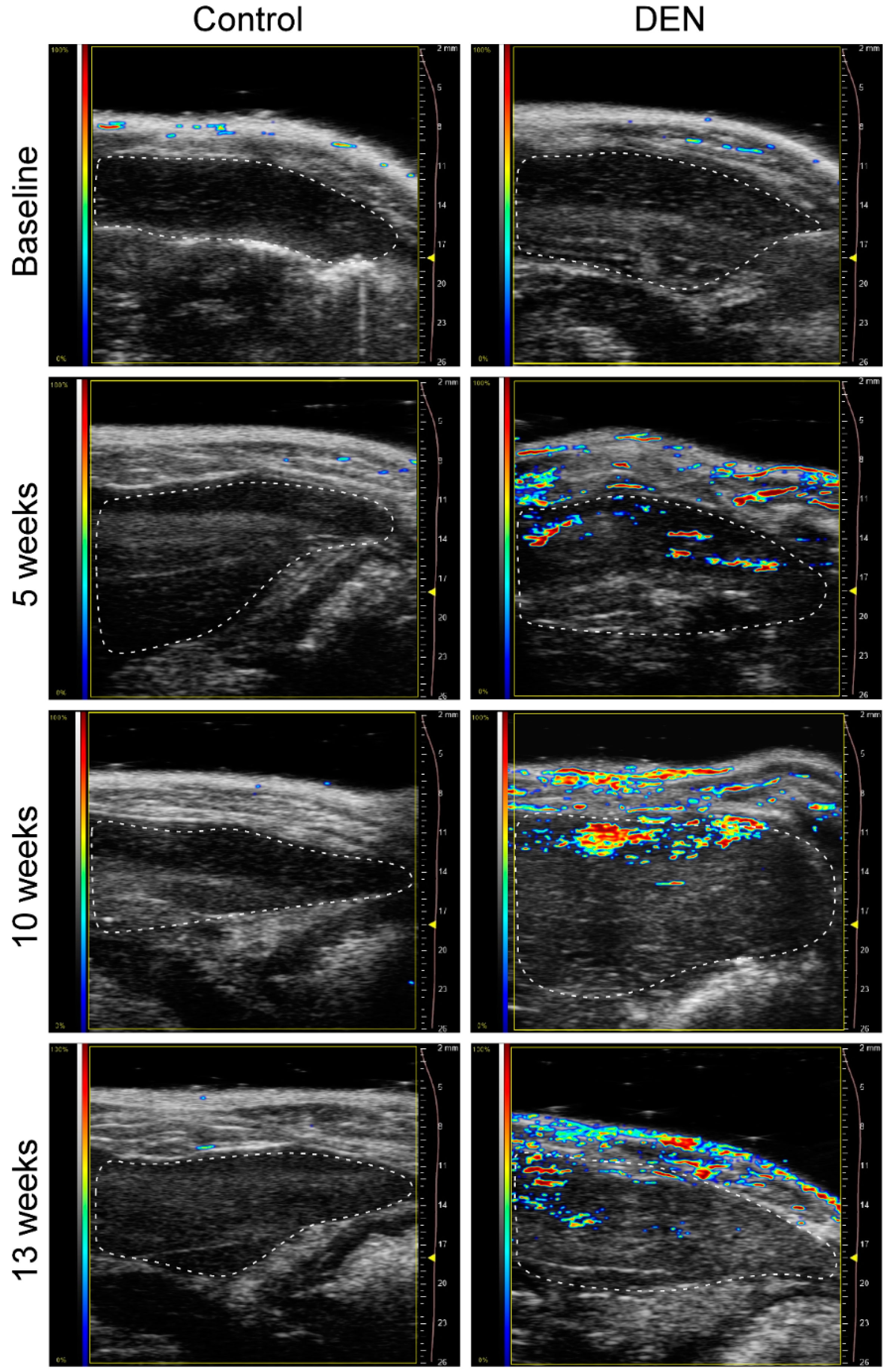 Diagnostics 10 00705 g001