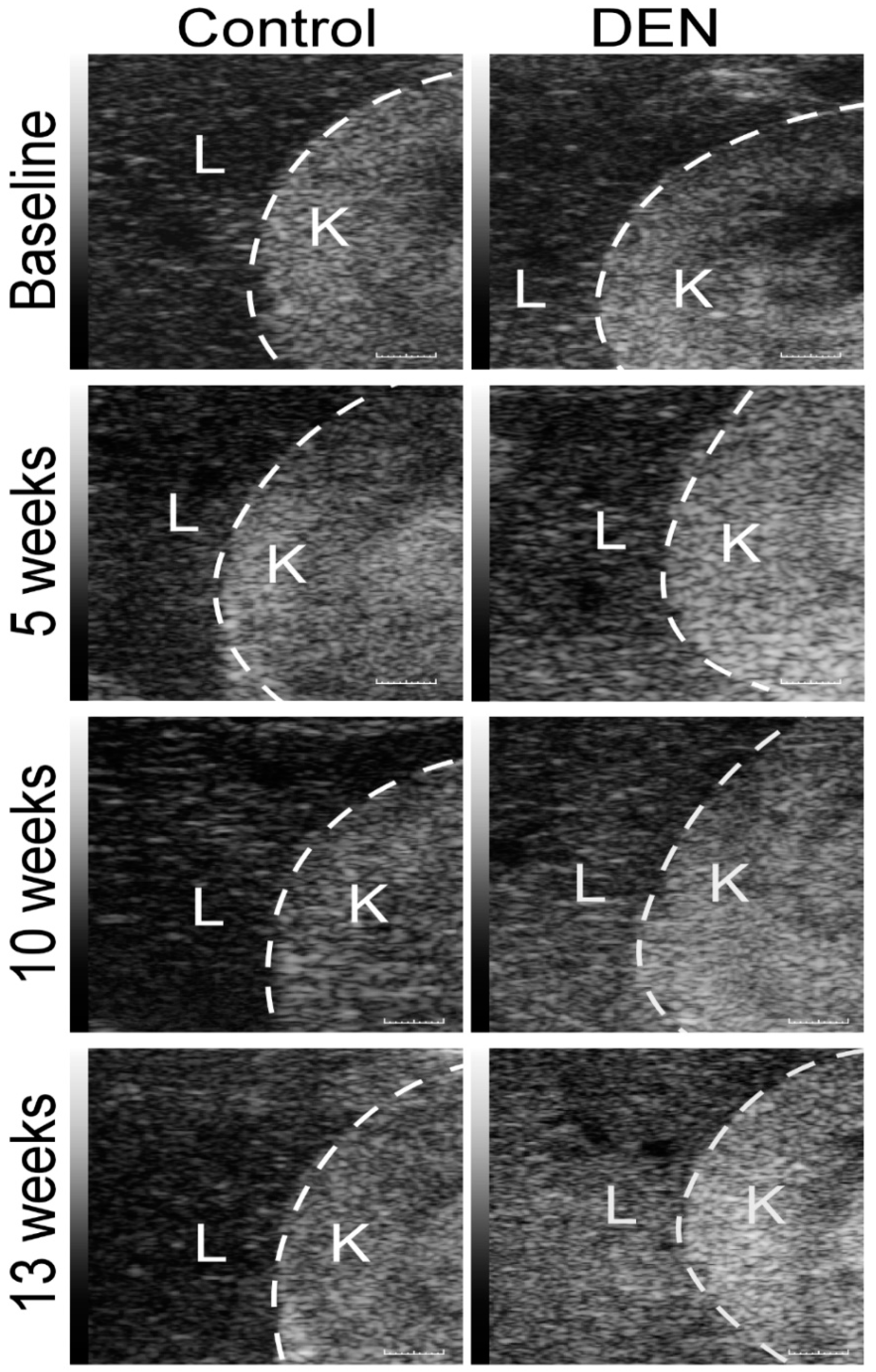 Diagnostics 10 00705 g005