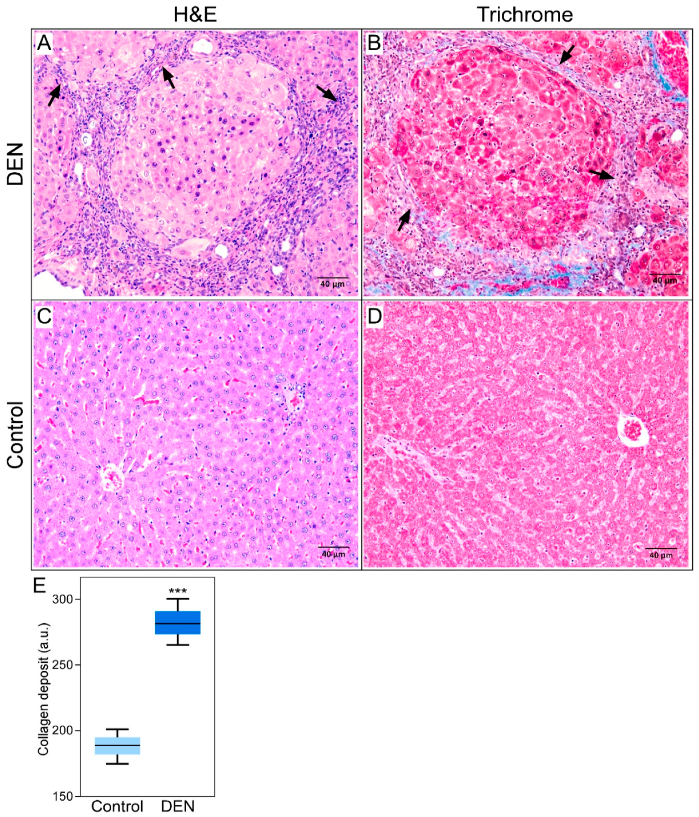 Diagnostics 10 00705 g007