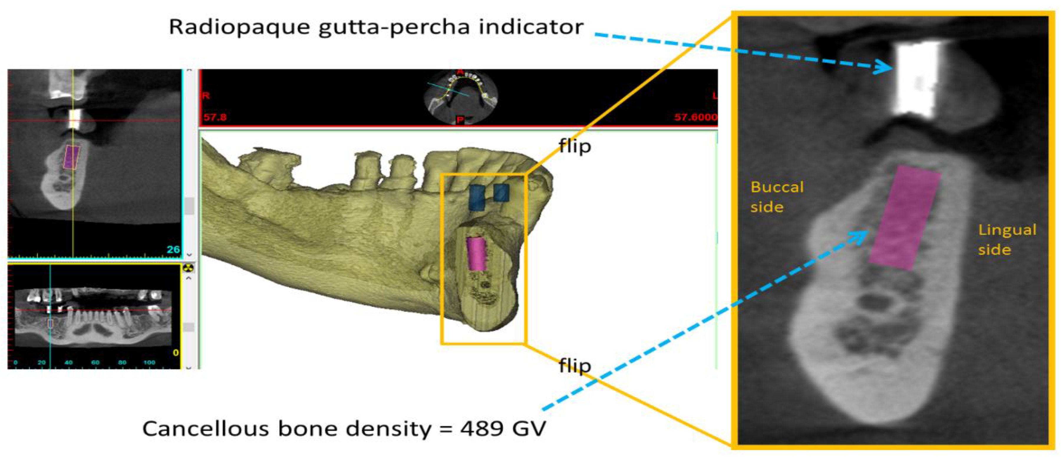 Diagnostics 10 00710 g001