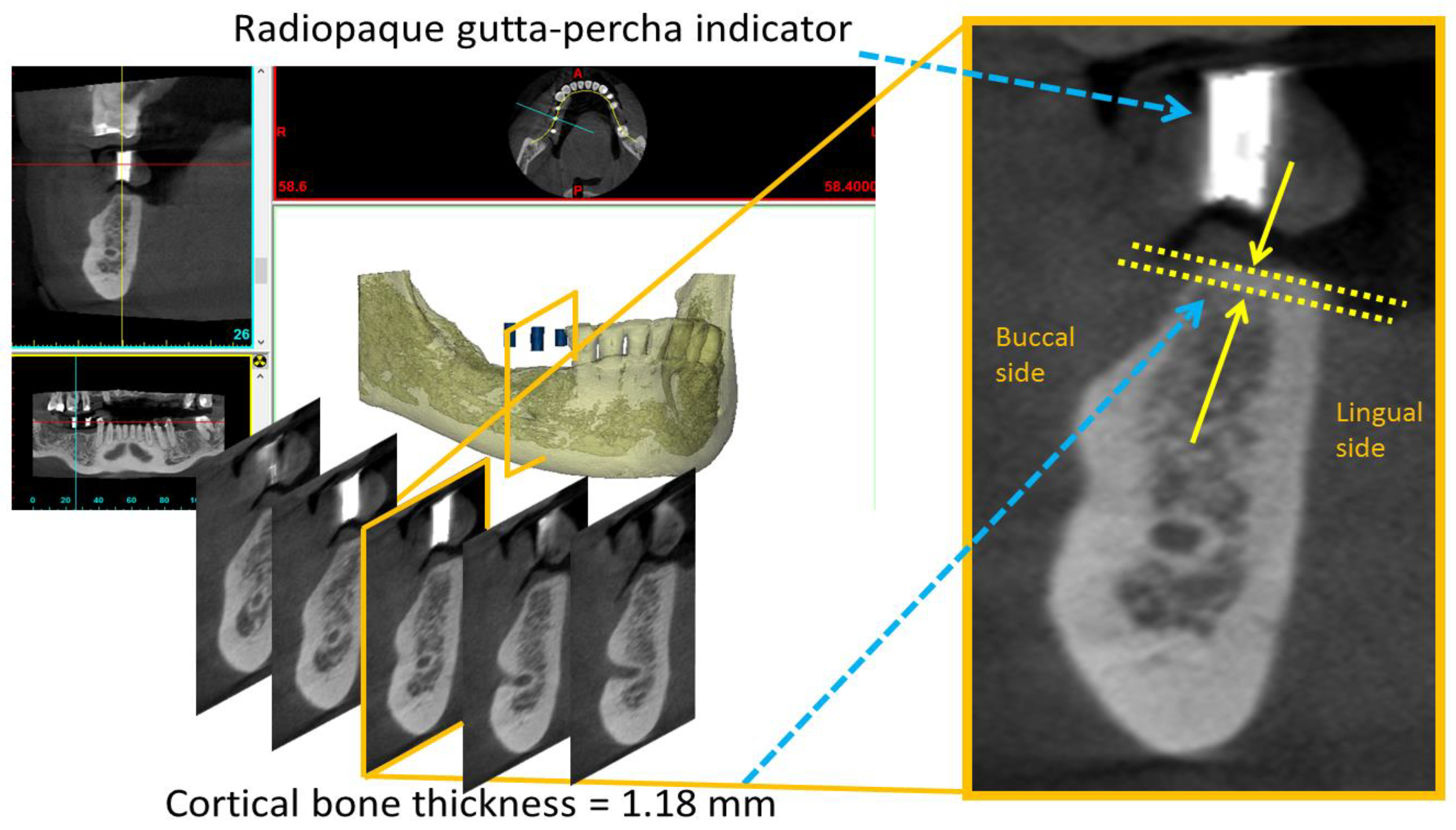 Diagnostics 10 00710 g002