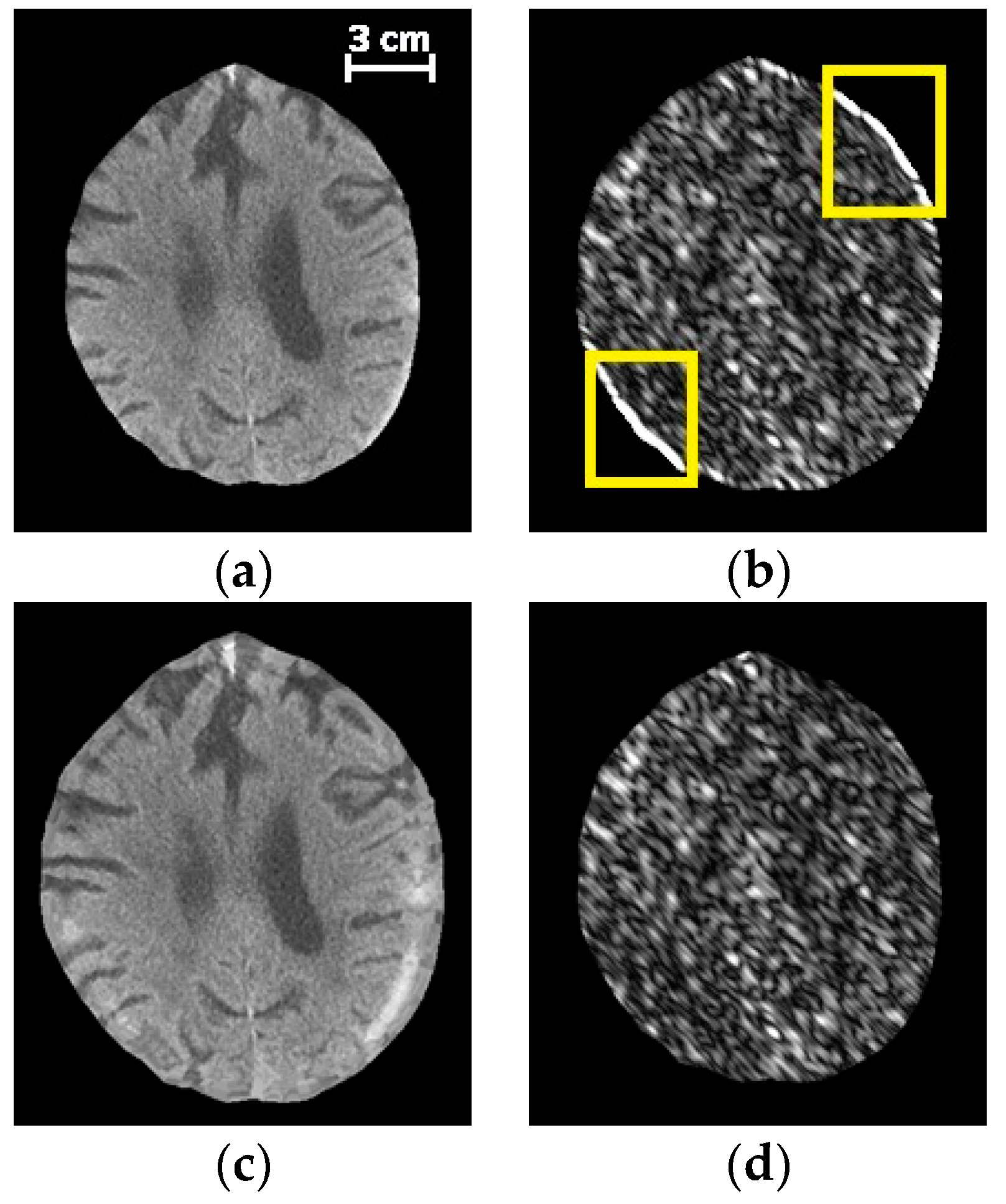 Diagnostics 10 00773 g003