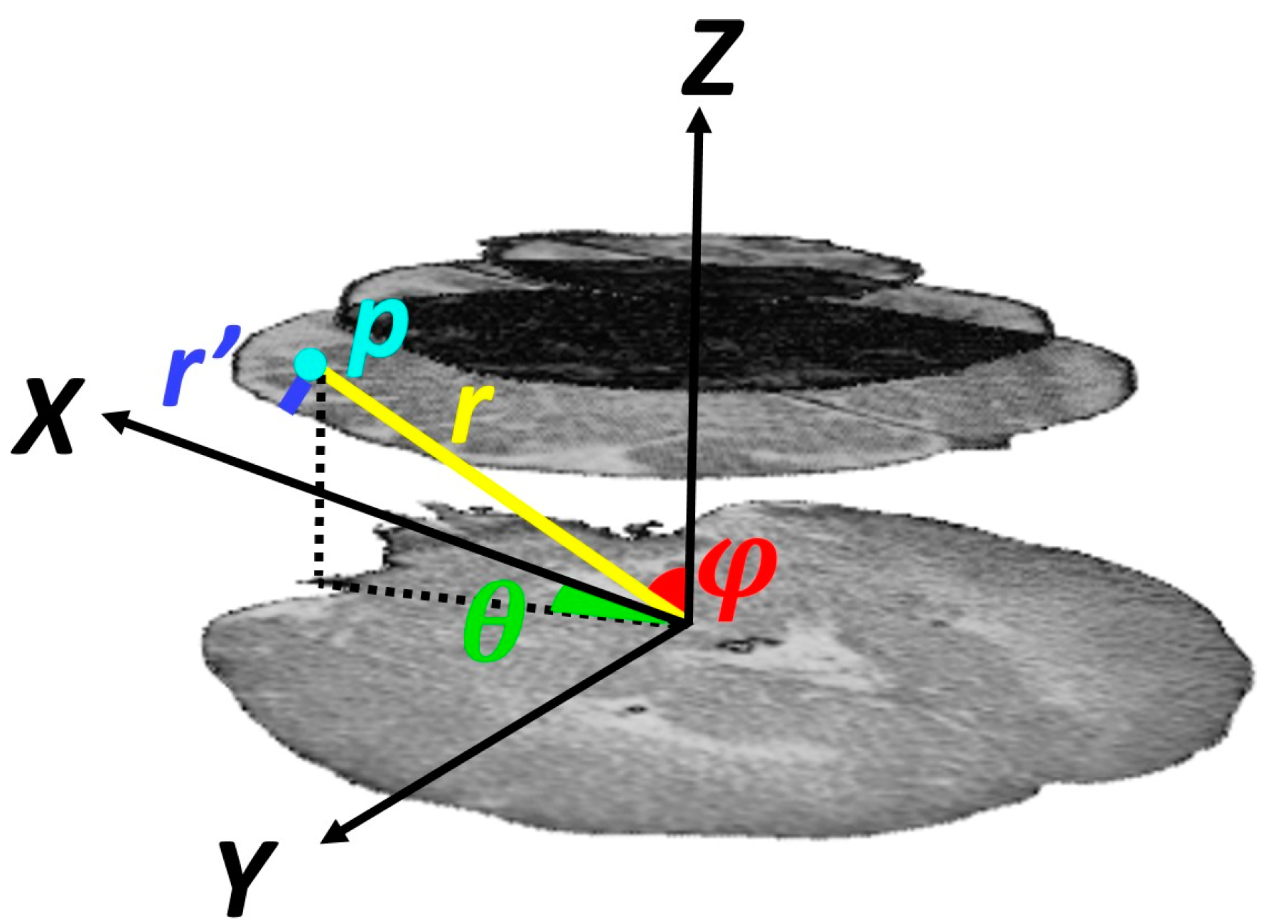 Diagnostics 10 00773 g004