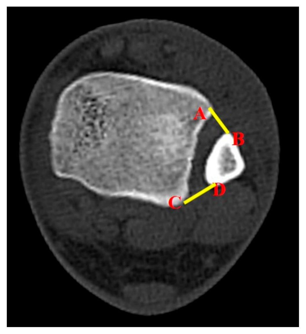Diagnostics 10 00812 g002