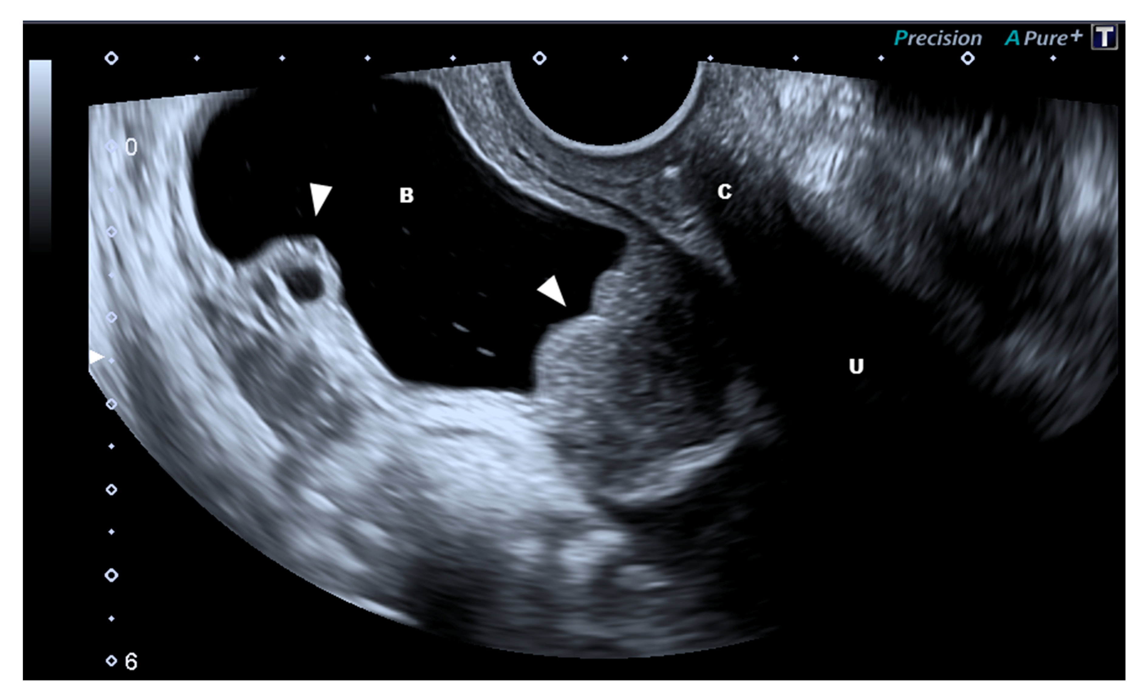 Diagnostics 10 00848 g002 Diagnostics 10 00848 g002