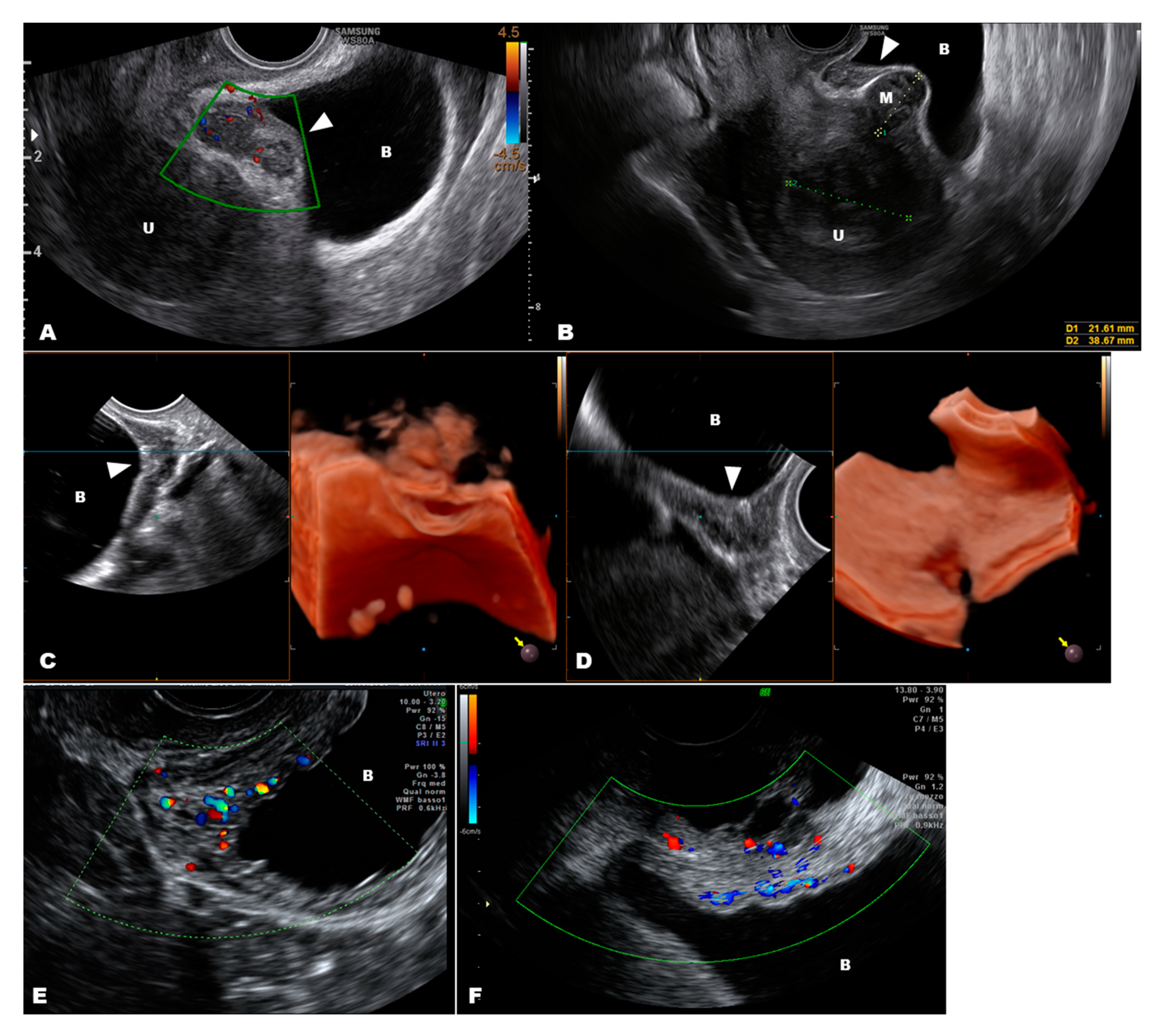 Diagnostics 10 00848 g005 Diagnostics 10 00848 g005