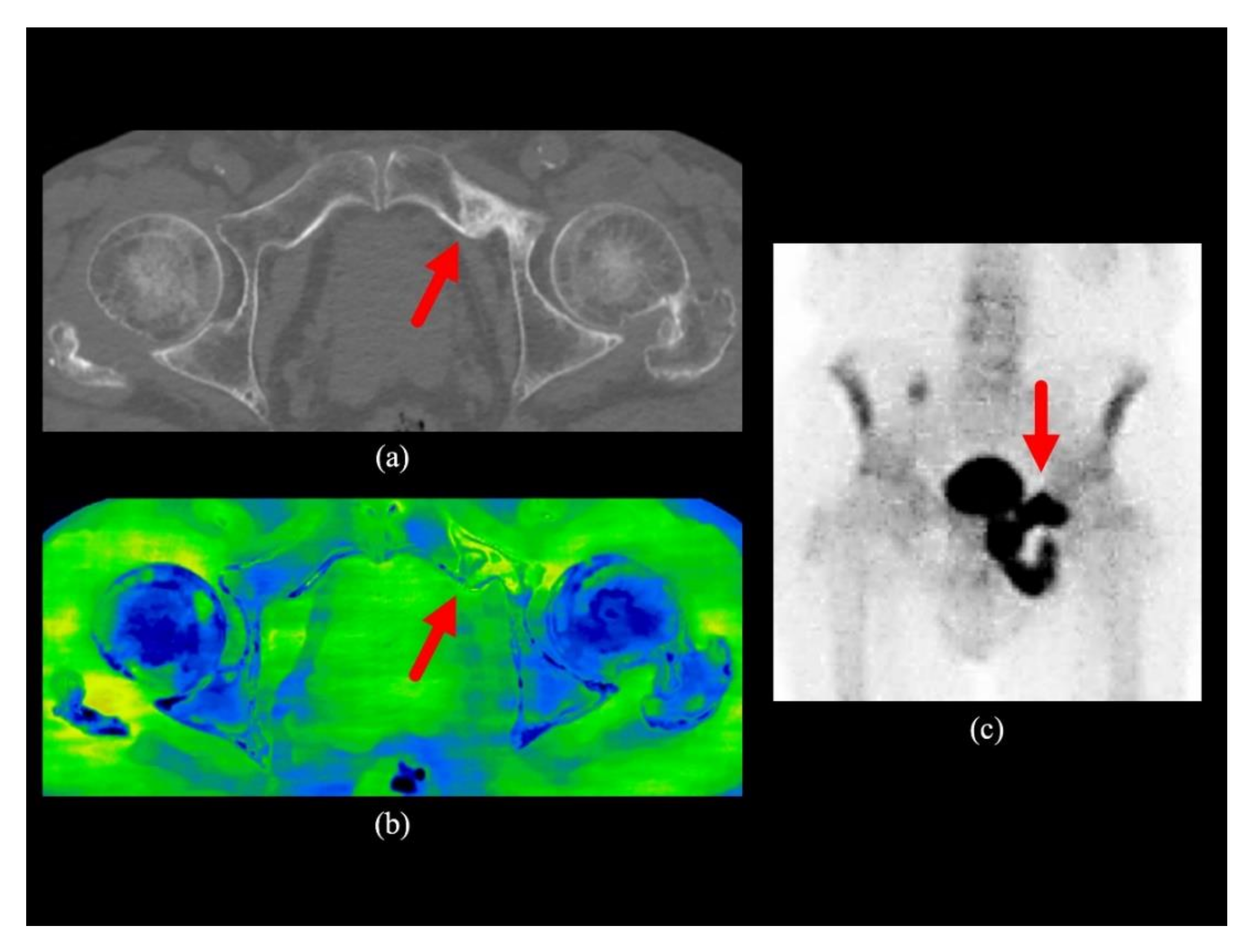 Diagnostics 10 00853 g002
