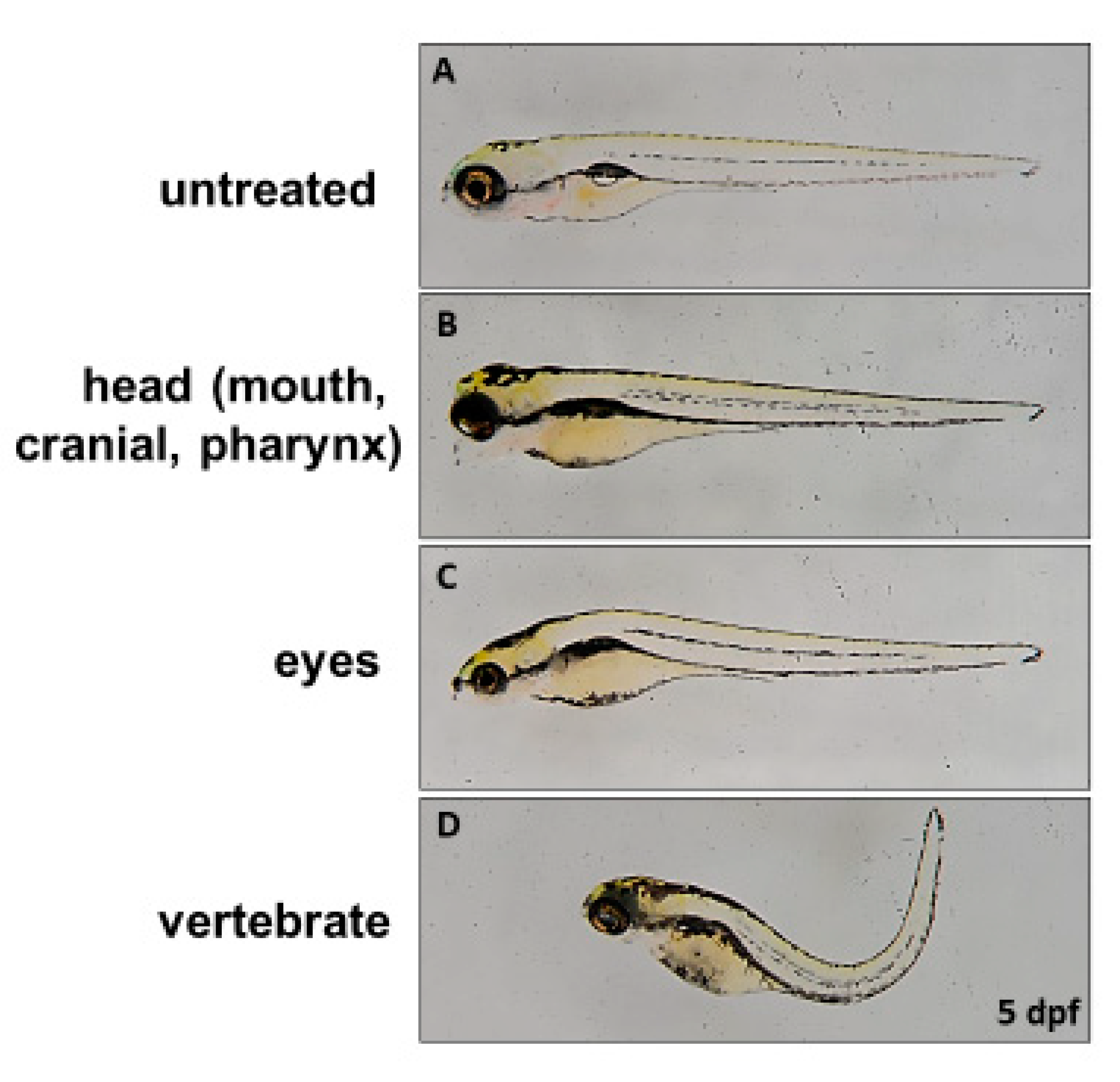 Diagnostics 10 00854 g003
