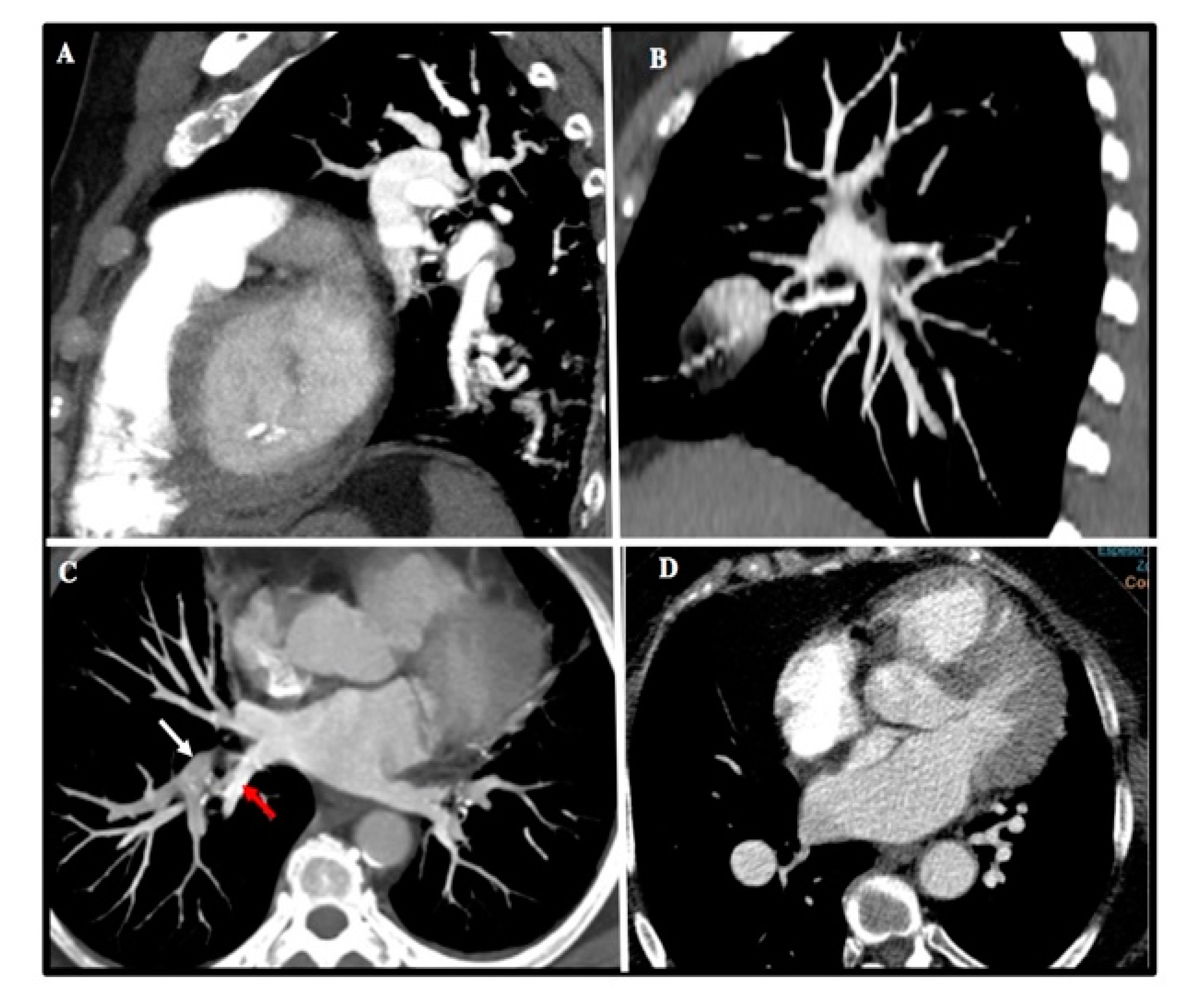 Diagnostics 10 00855 g002