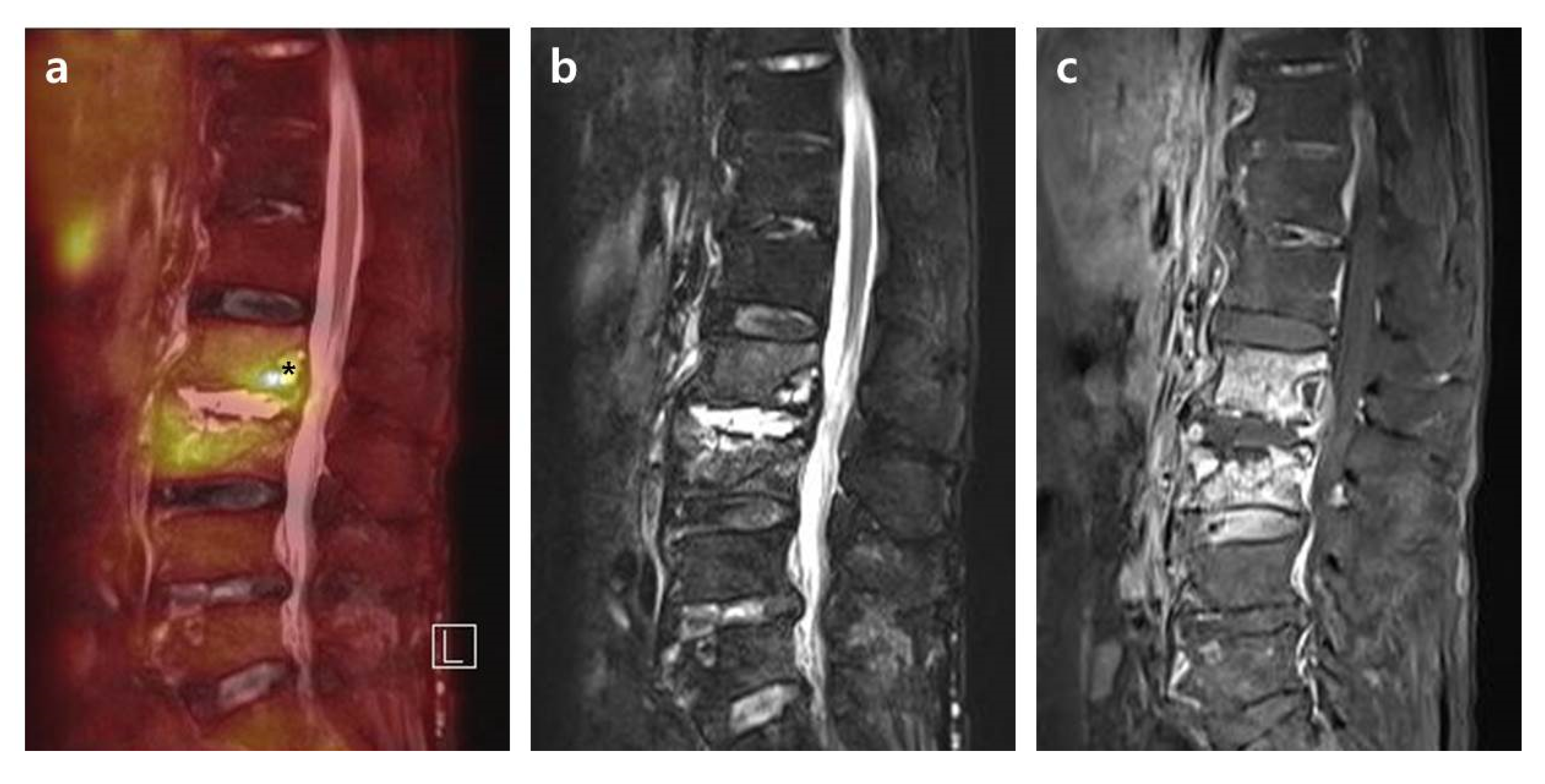 Diagnostics 10 00861 g002