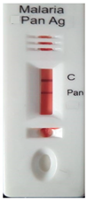 Diagnostics 10 00880 i010