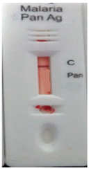 Diagnostics 10 00880 i011
