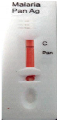 Diagnostics 10 00880 i012