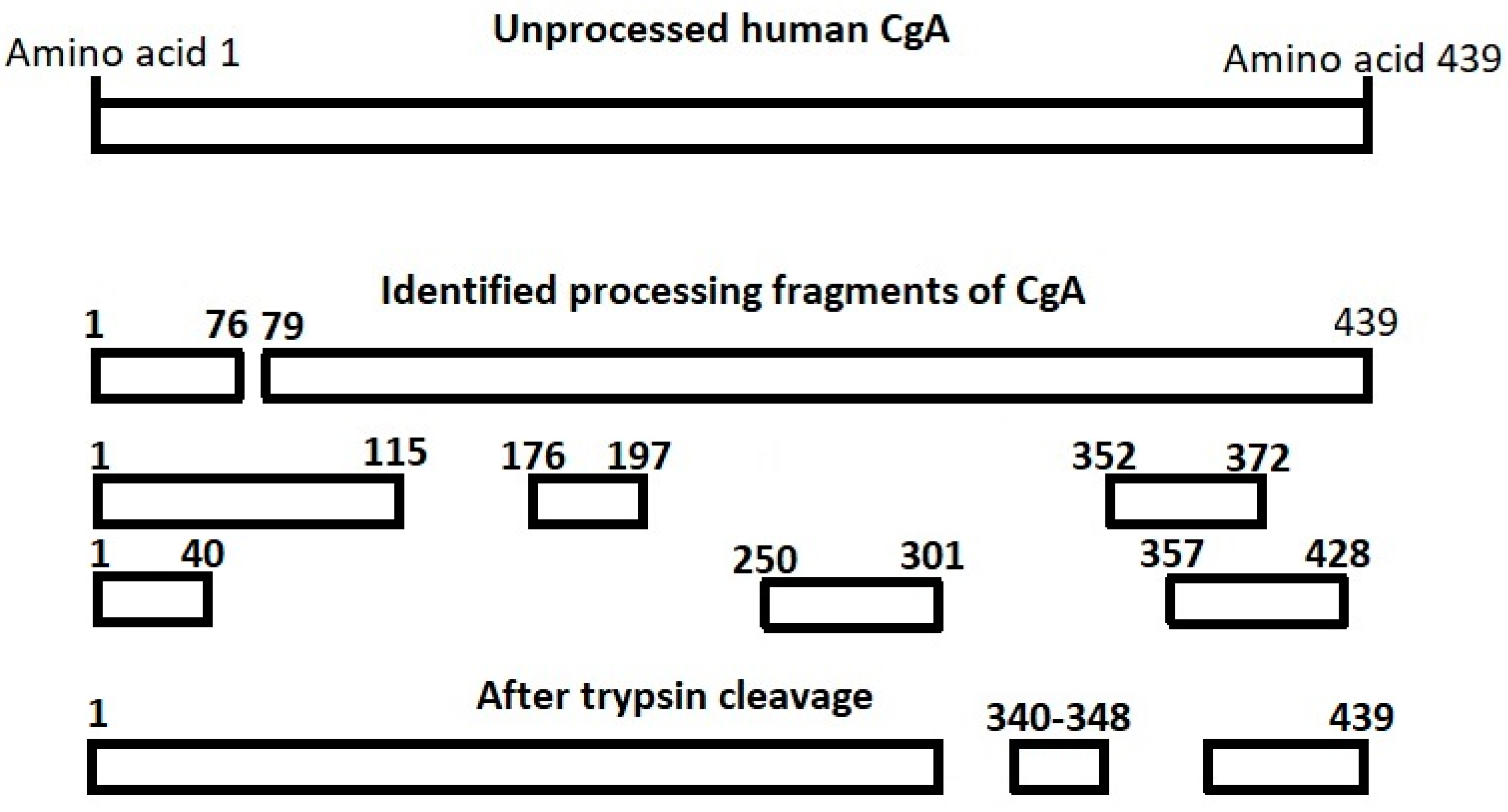Diagnostics 10 00881 g001
