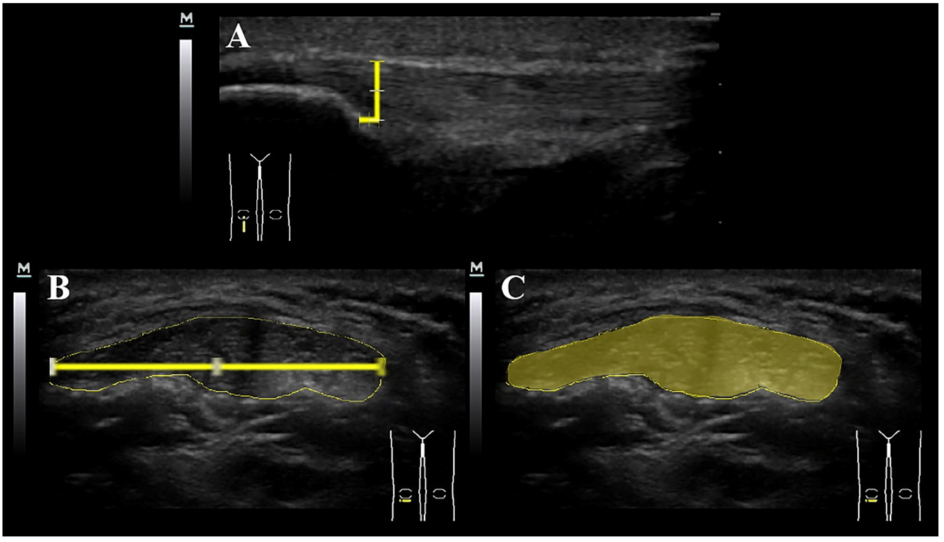 Diagnostics 10 00882 g002