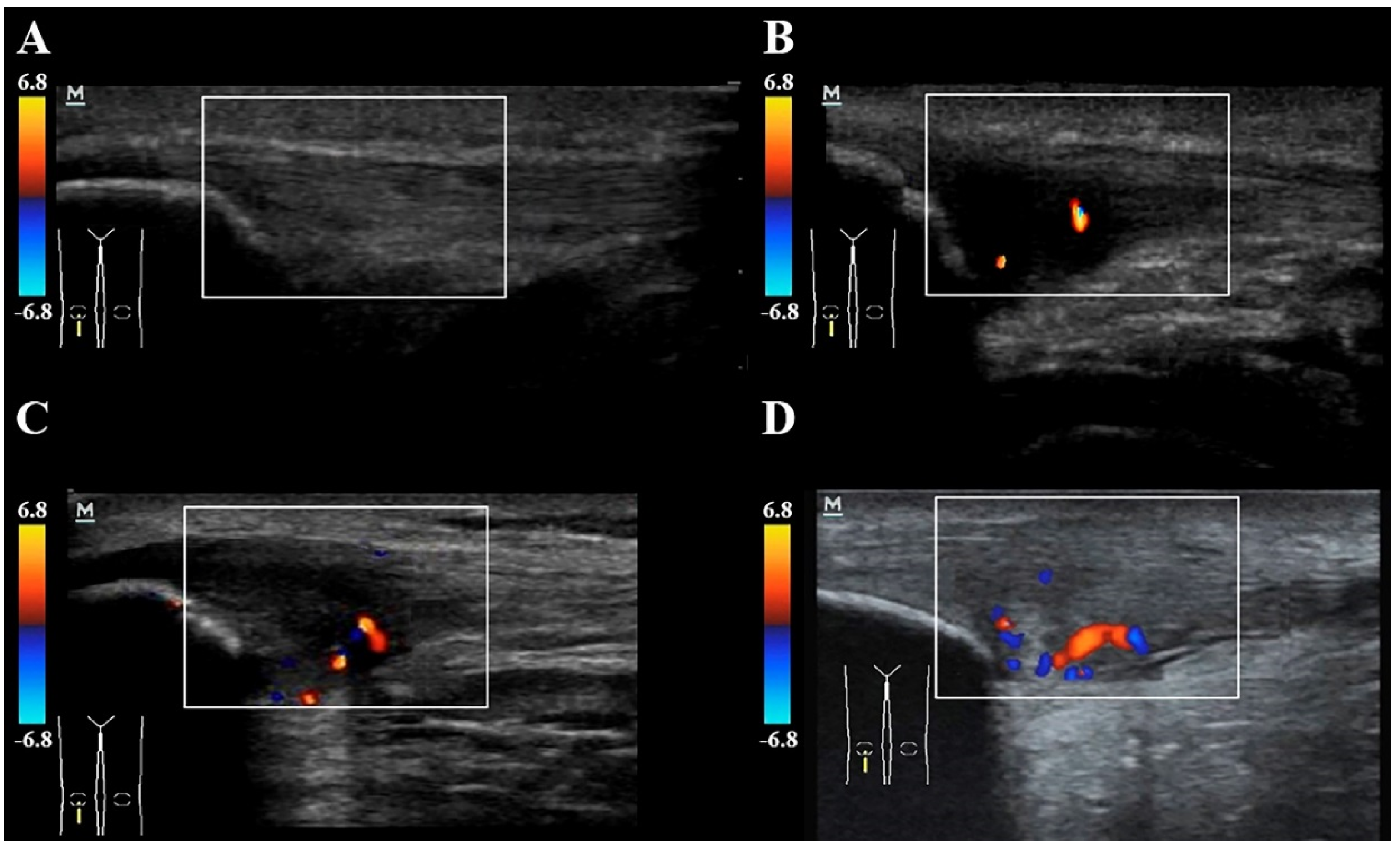 Diagnostics 10 00882 g003