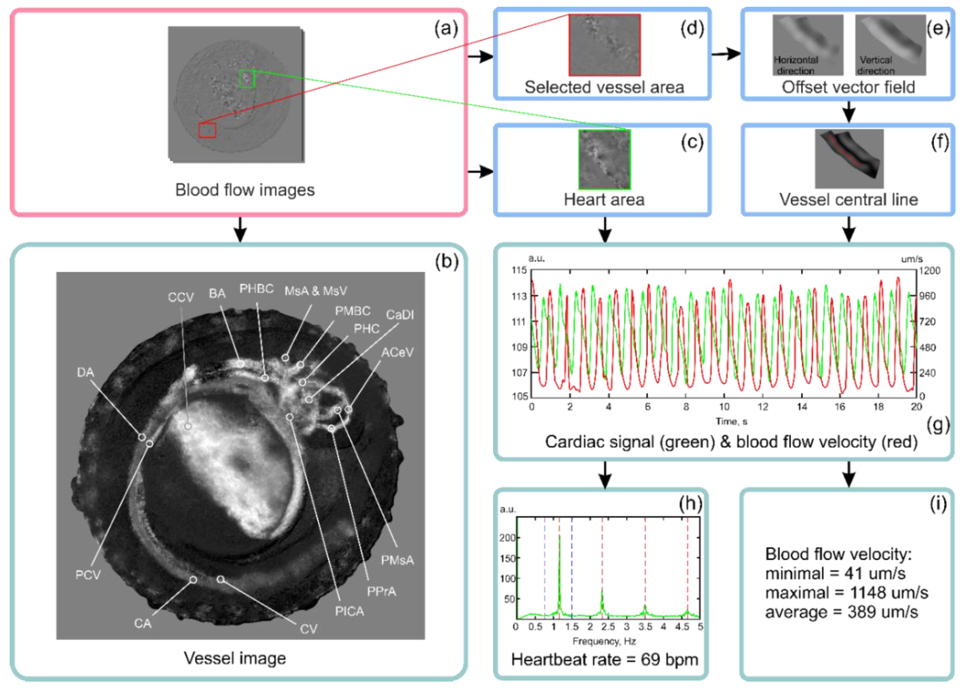 Diagnostics 10 00886 g004
