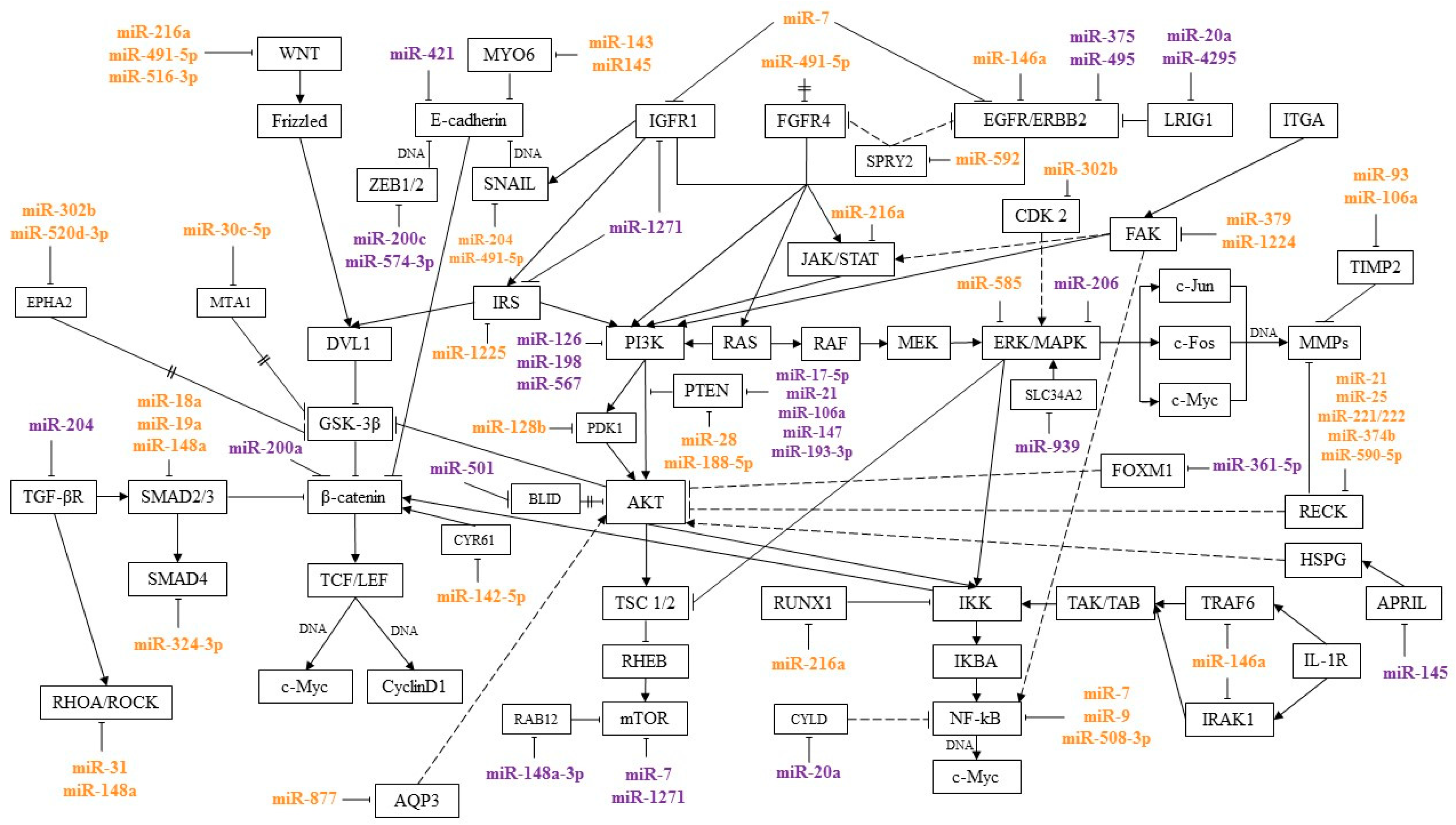 Diagnostics 10 00891 g001 Diagnostics 10 00891 g001