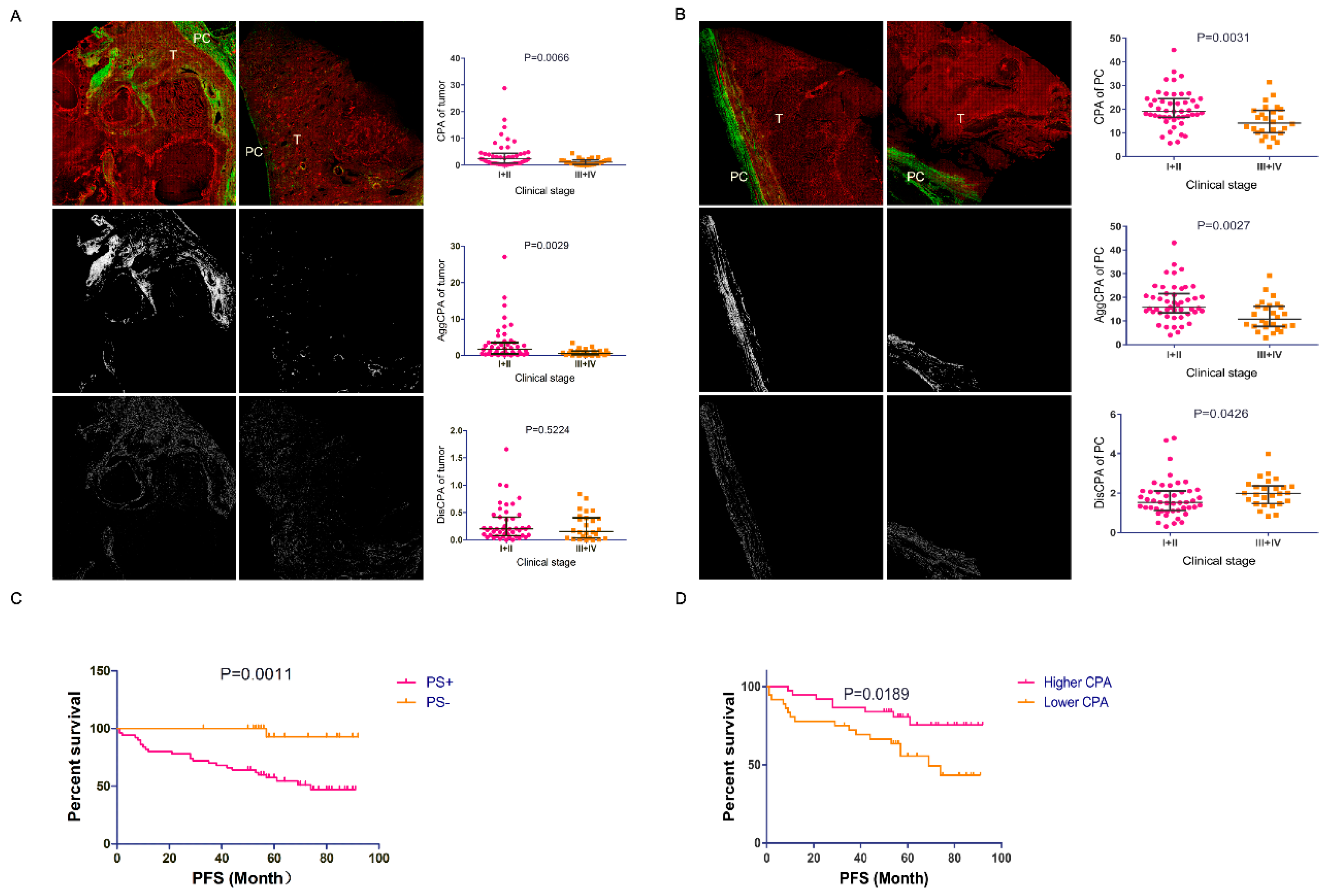 Diagnostics 10 00895 g002