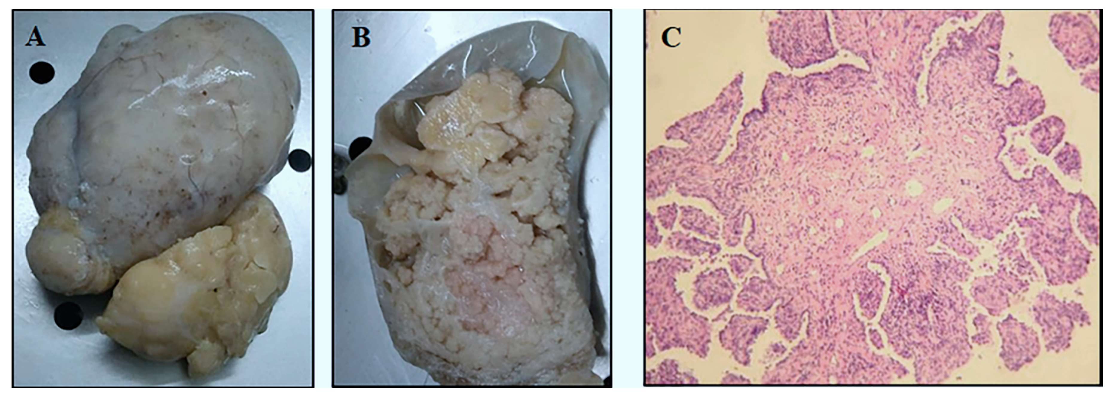 Diagnostics 10 00906 g001 Diagnostics 10 00906 g001