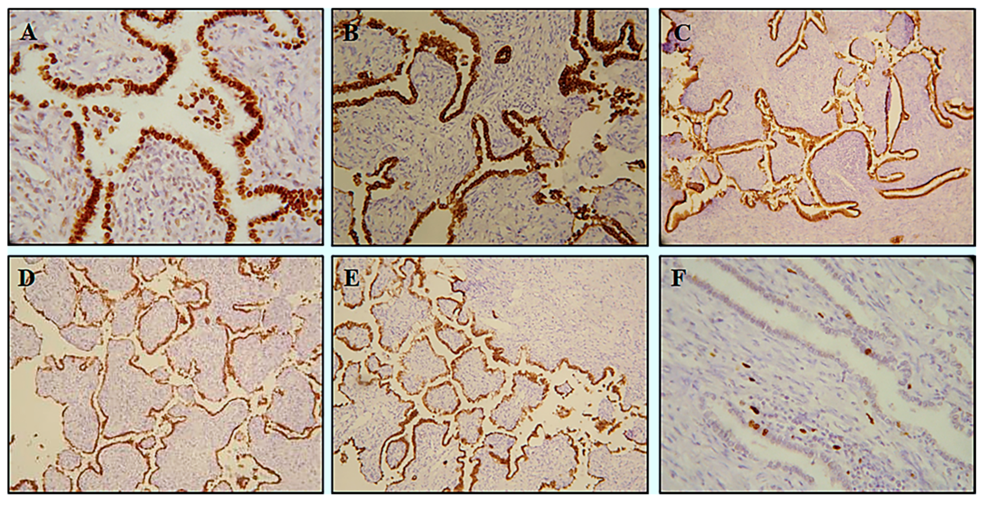 Diagnostics 10 00906 g002 Diagnostics 10 00906 g002