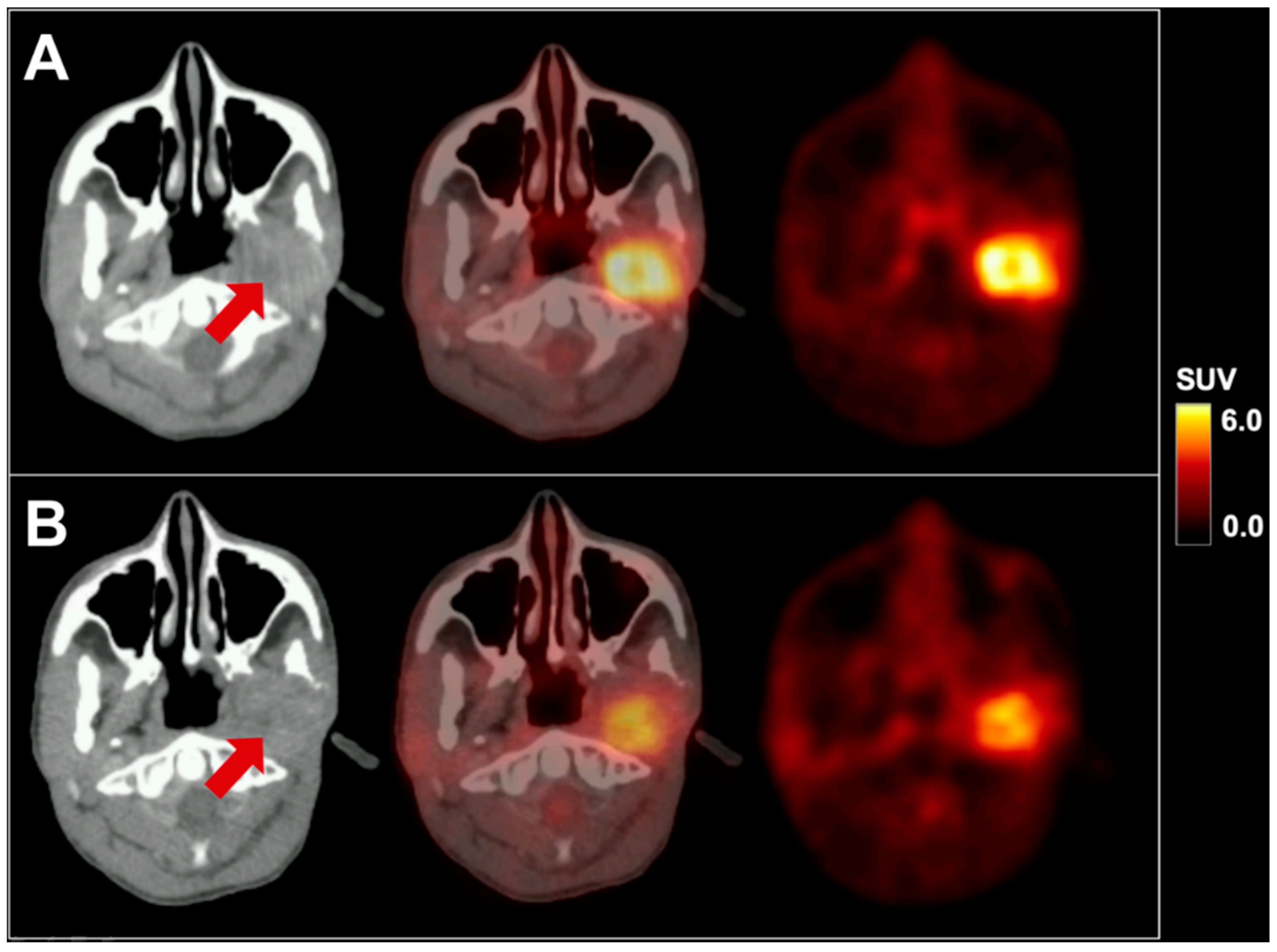 Diagnostics 10 00908 g001 Diagnostics 10 00908 g001