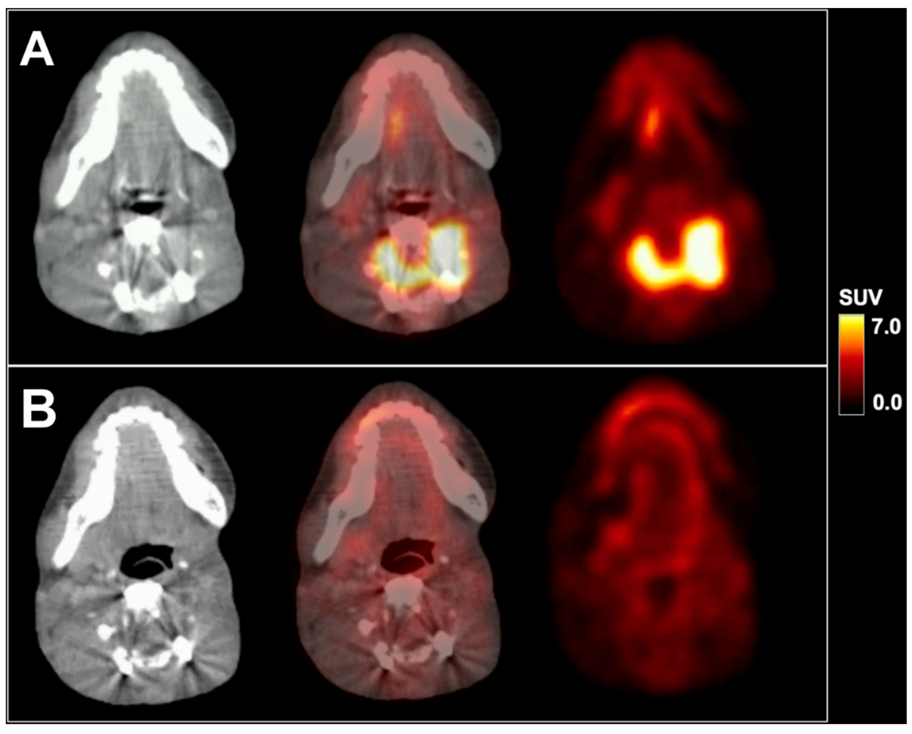 Diagnostics 10 00908 g002 Diagnostics 10 00908 g002