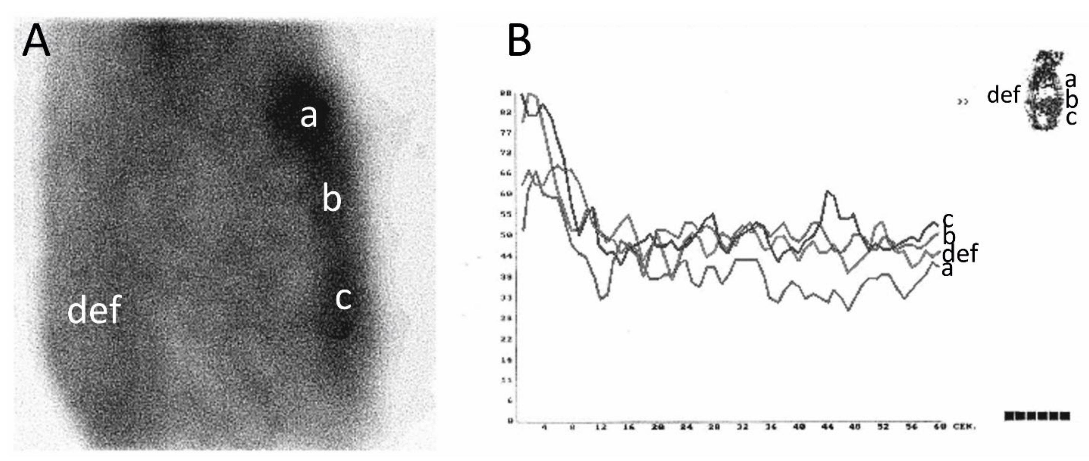 Diagnostics 10 00921 g005