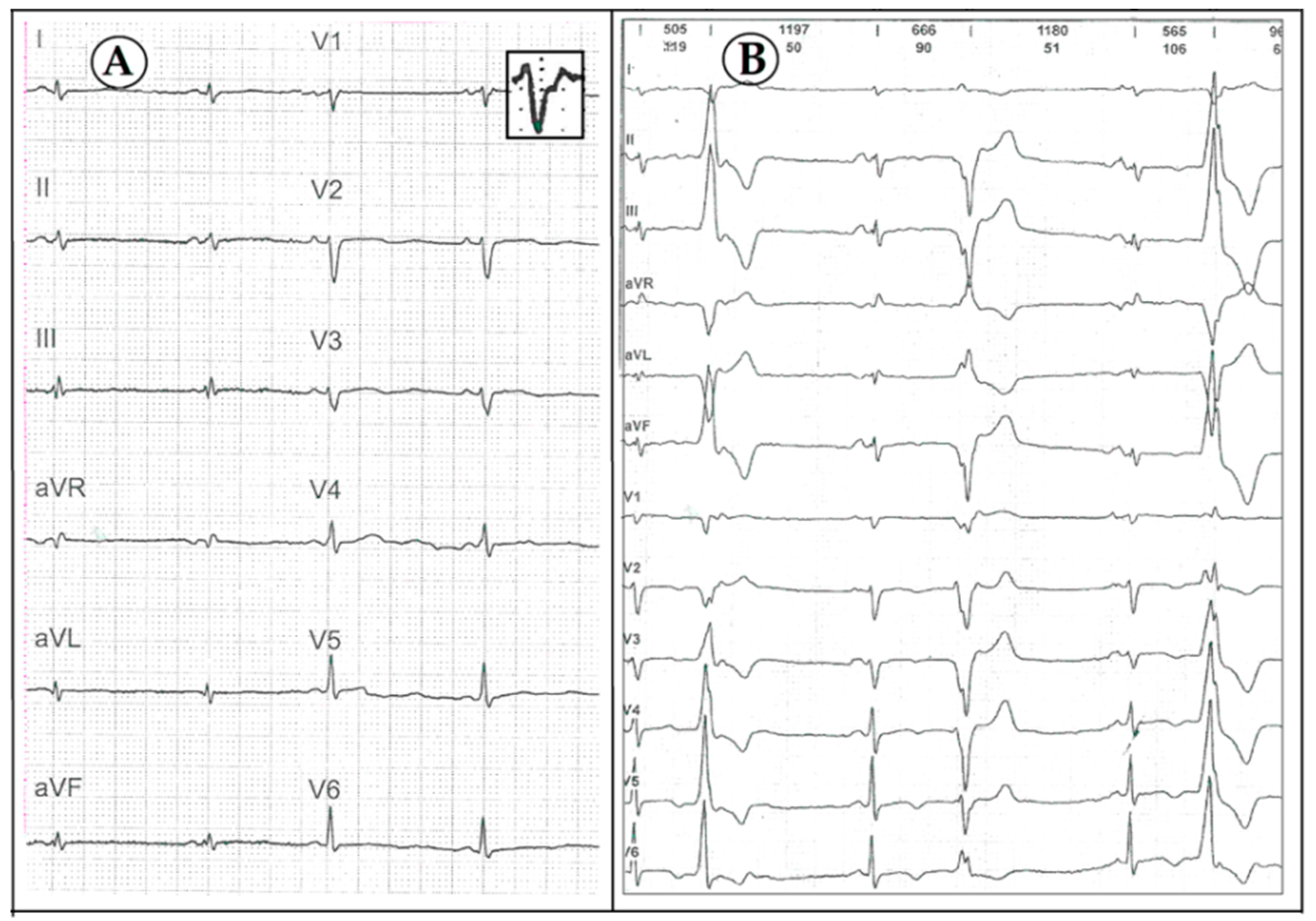 Diagnostics 10 00955 g002