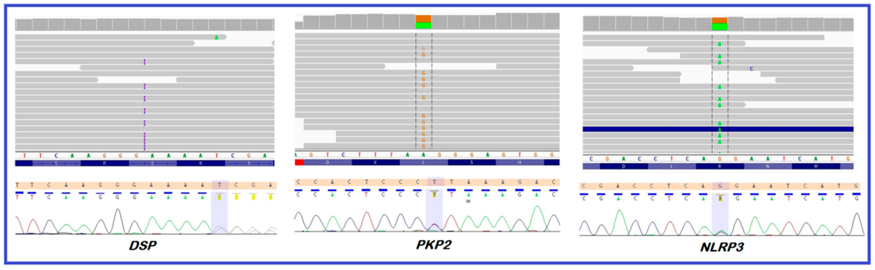 Diagnostics 10 00955 g004