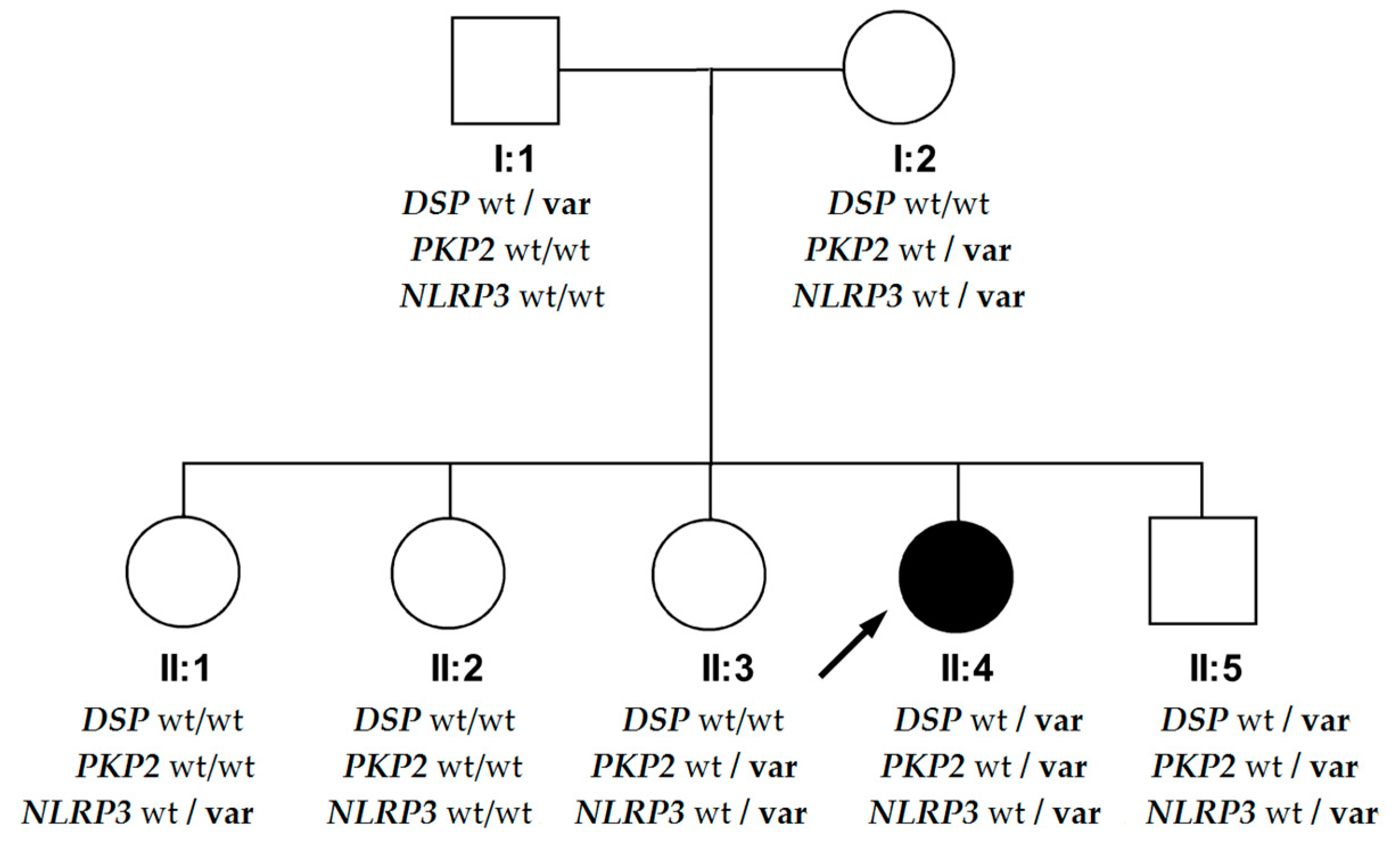 Diagnostics 10 00955 g005