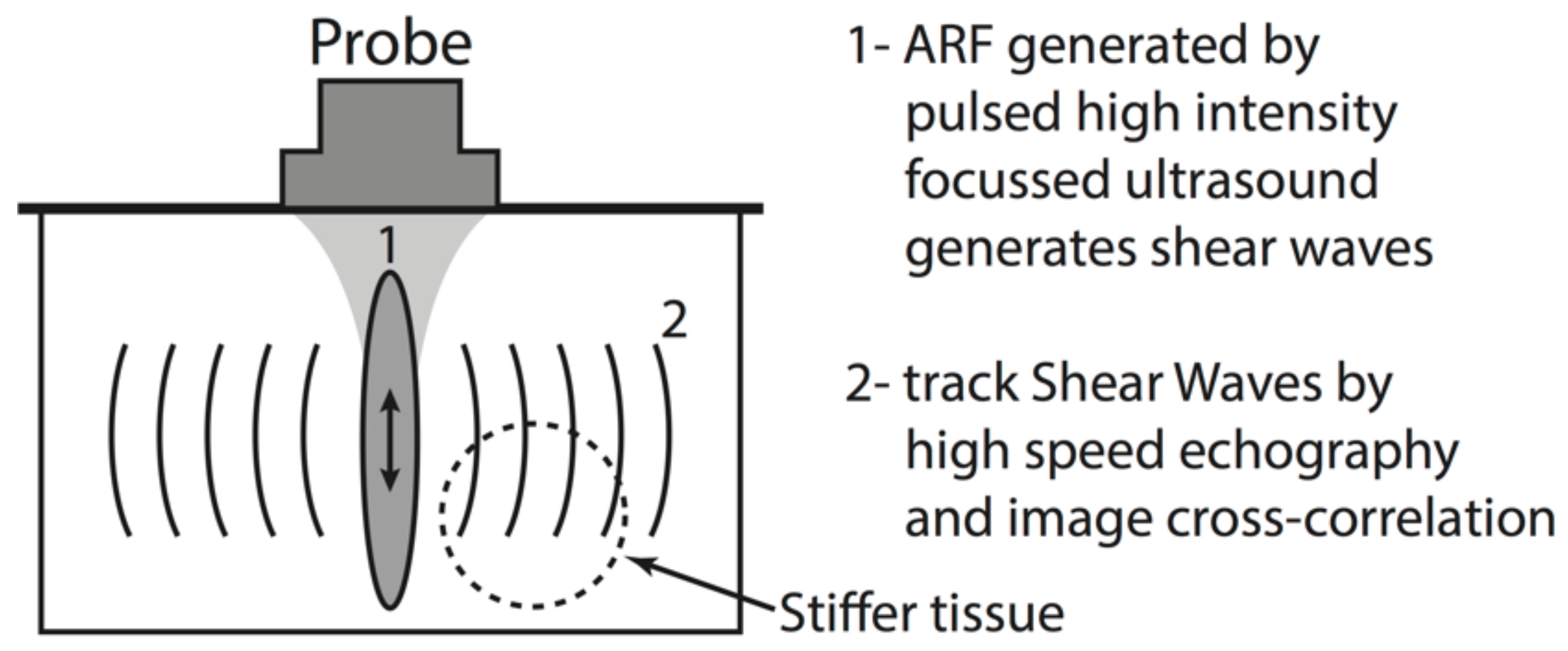 Diagnostics 10 00967 g001