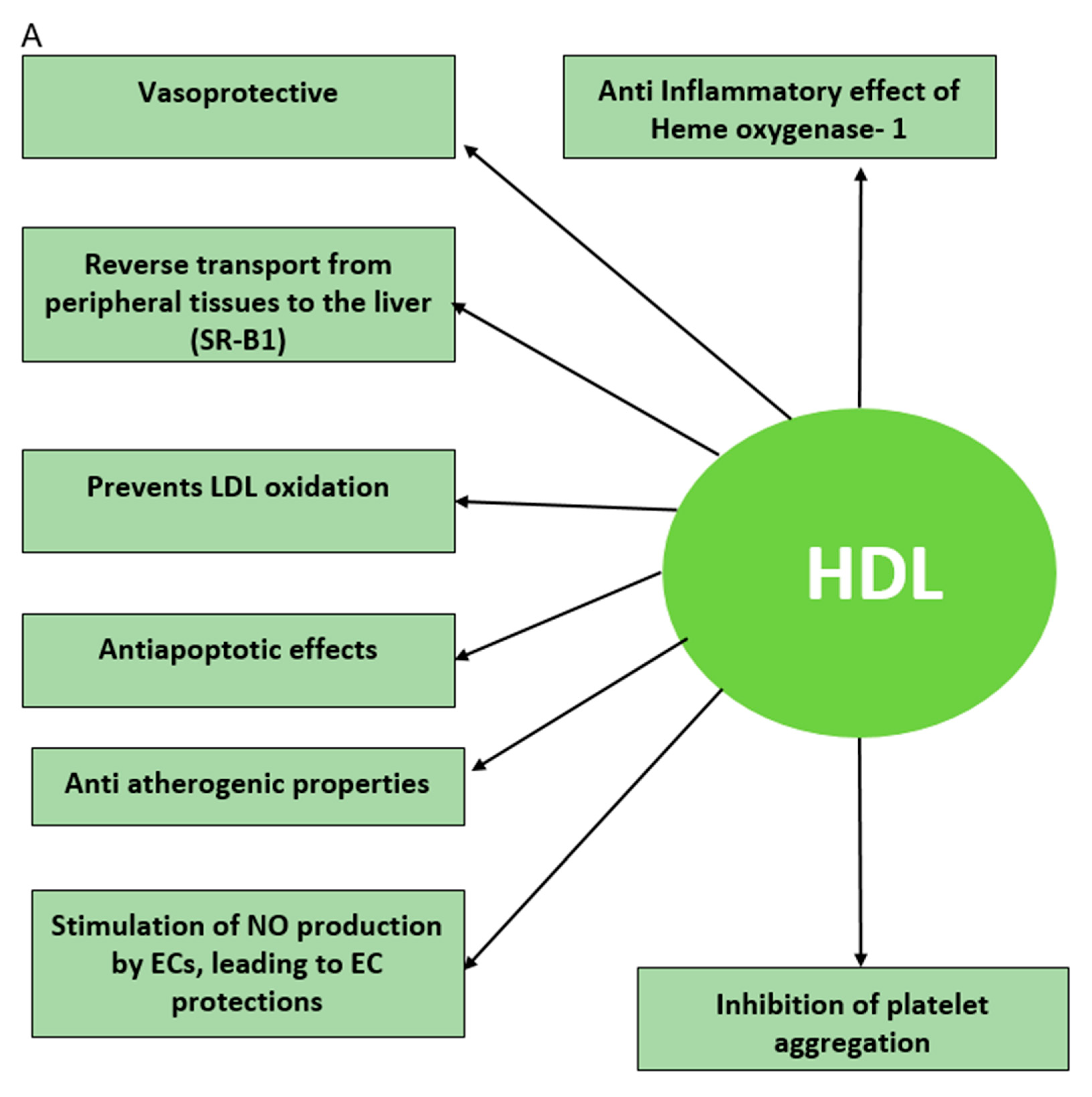 Diagnostics 10 00976 g001a Diagnostics 10 00976 g001a