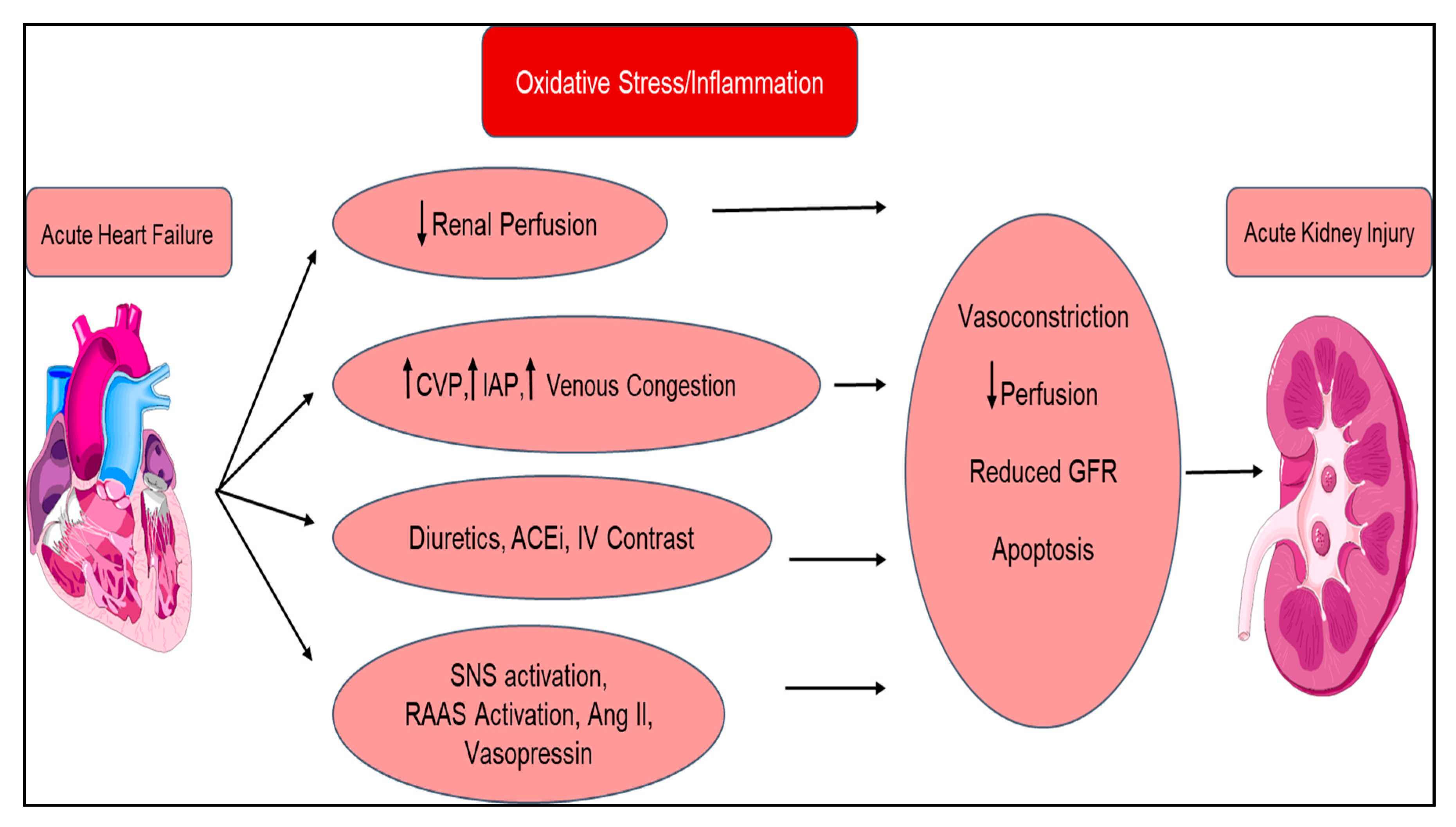 Diagnostics 10 00976 g002 Diagnostics 10 00976 g002