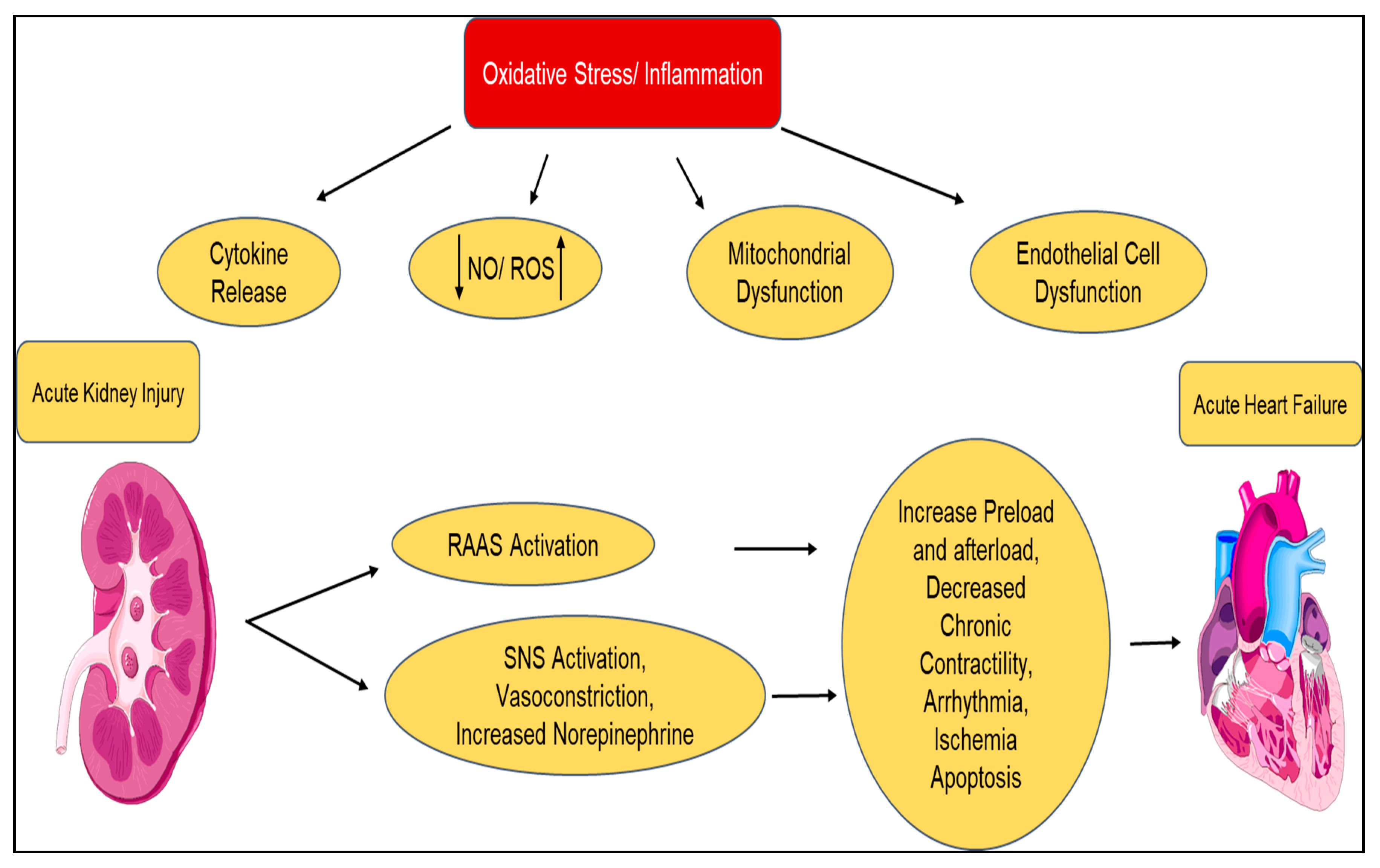Diagnostics 10 00976 g004 Diagnostics 10 00976 g004